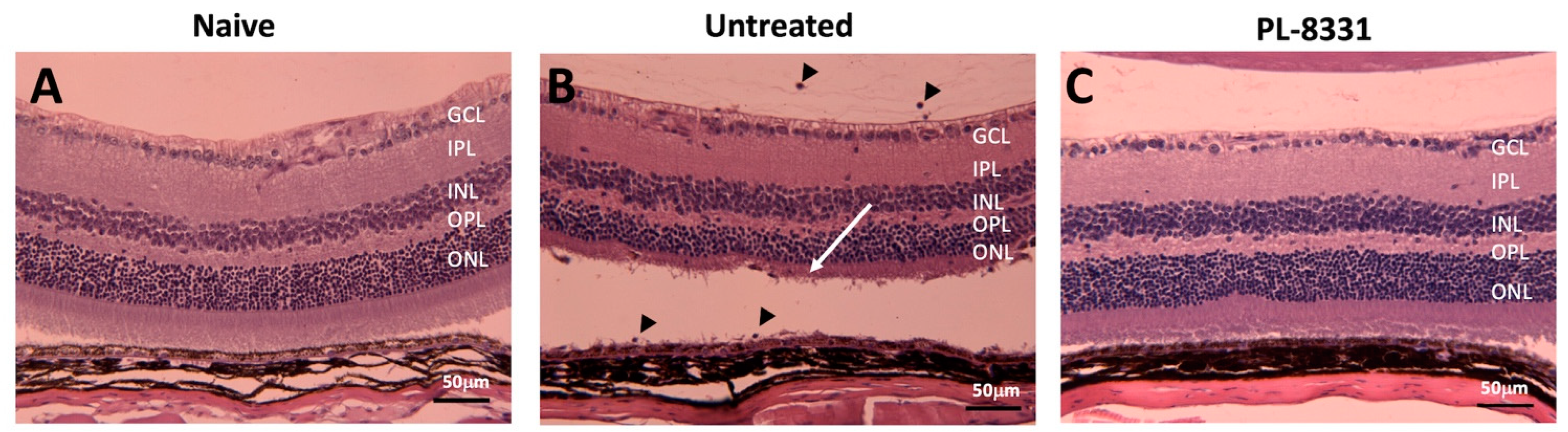 Ijms 24 06928 g002 Ijms 24 06928 g002