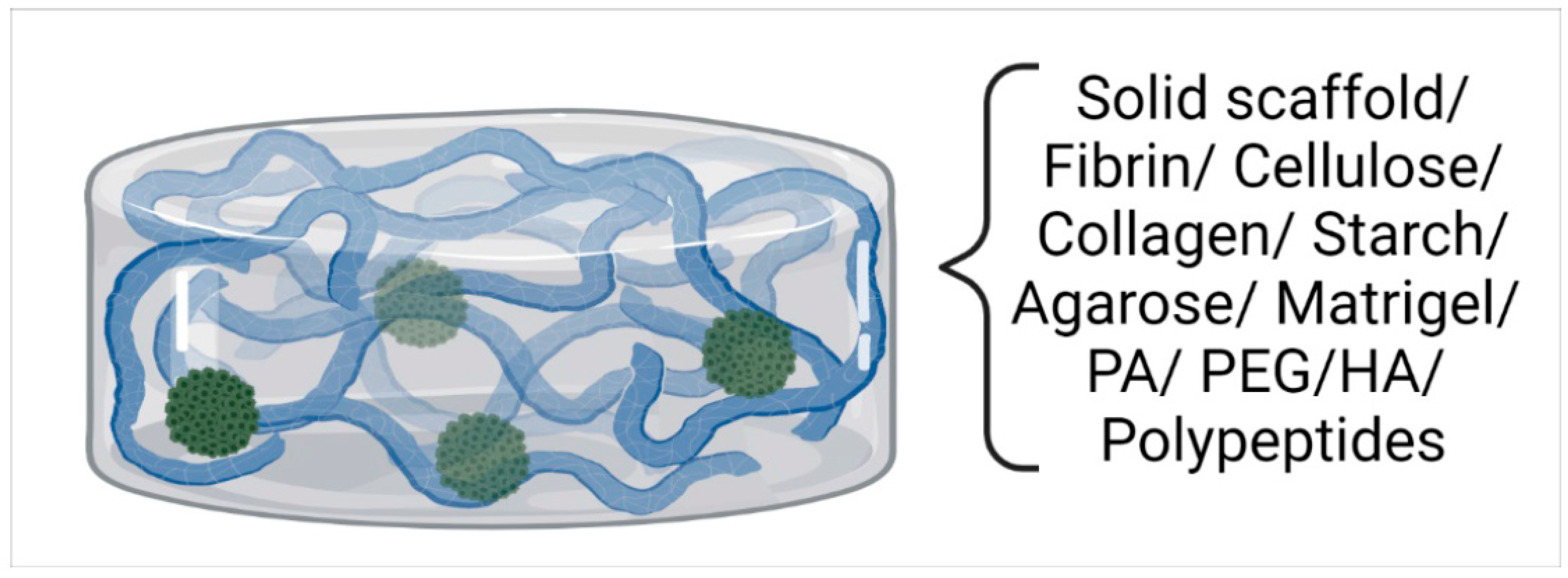 Ijms 24 06949 g003 Ijms 24 06949 g003