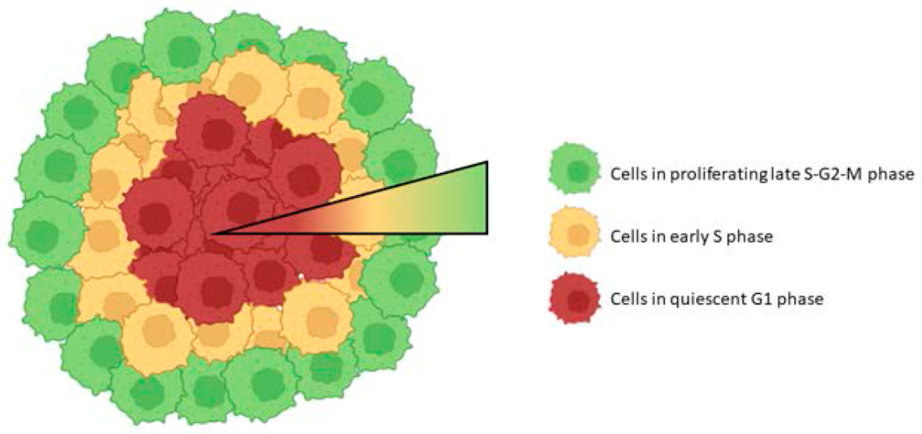 IJMS | Free Full-Text | Applications And Advances Of Multicellular ...