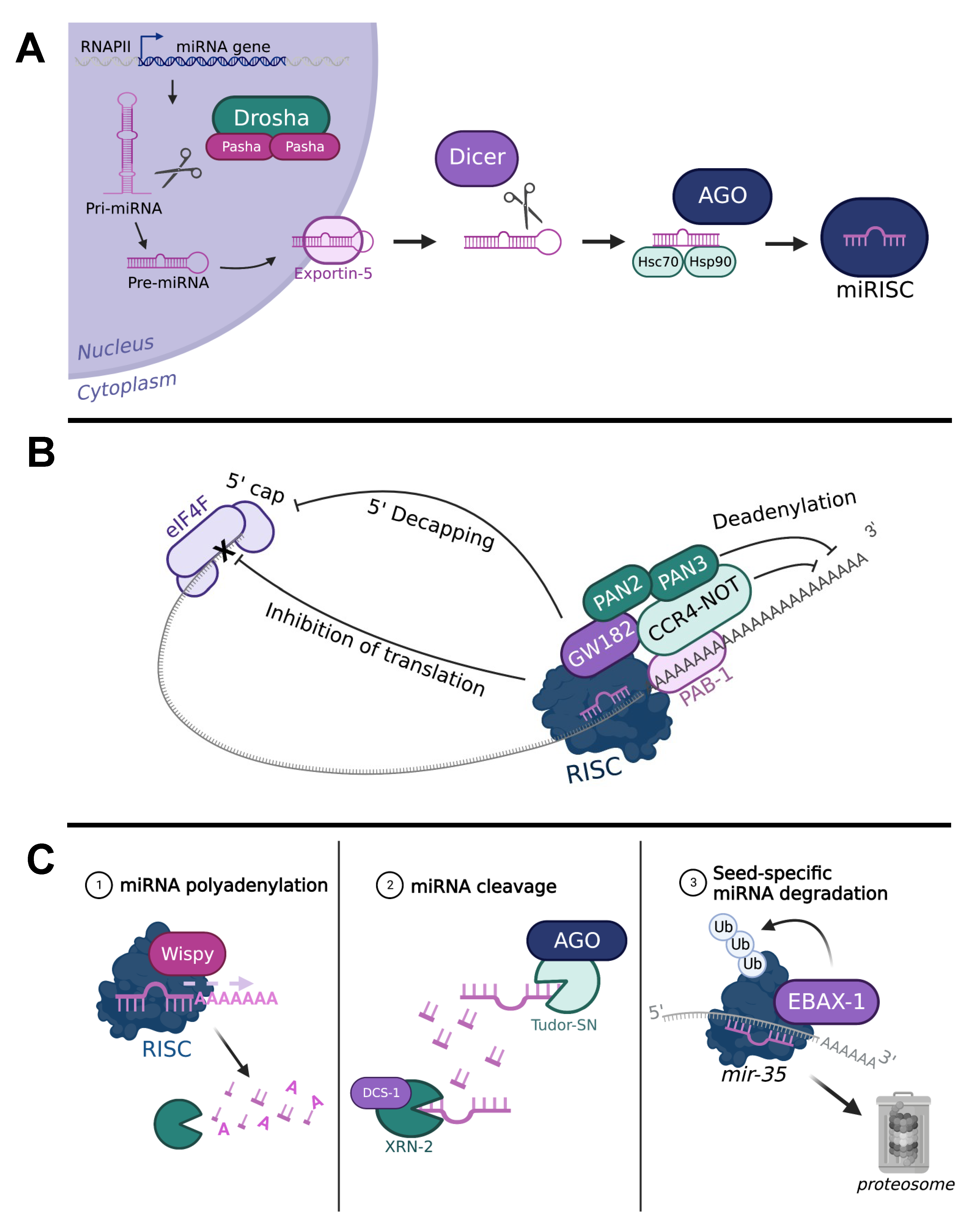 Ijms 24 06963 g001 Ijms 24 06963 g001
