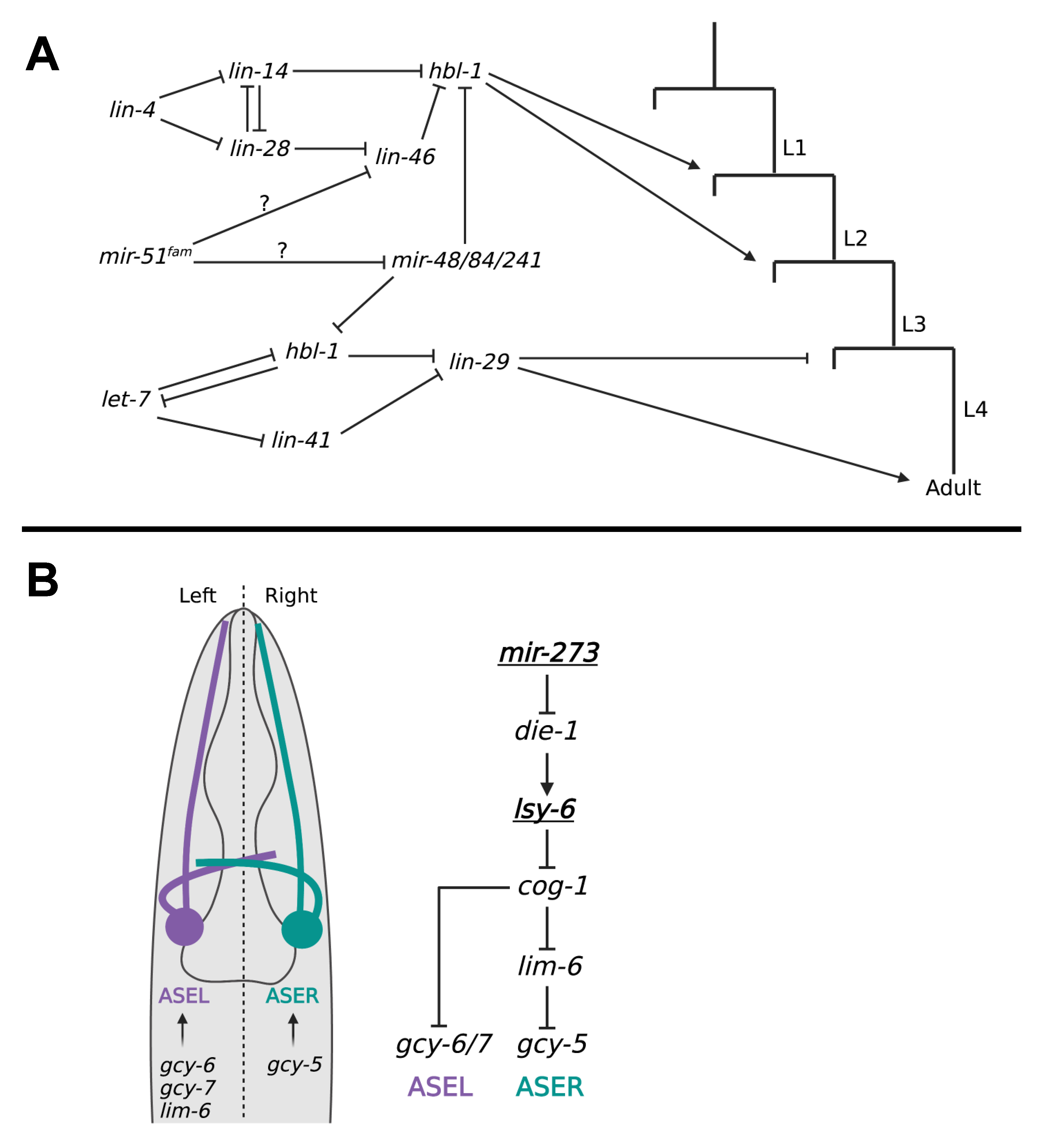 Ijms 24 06963 g002 Ijms 24 06963 g002