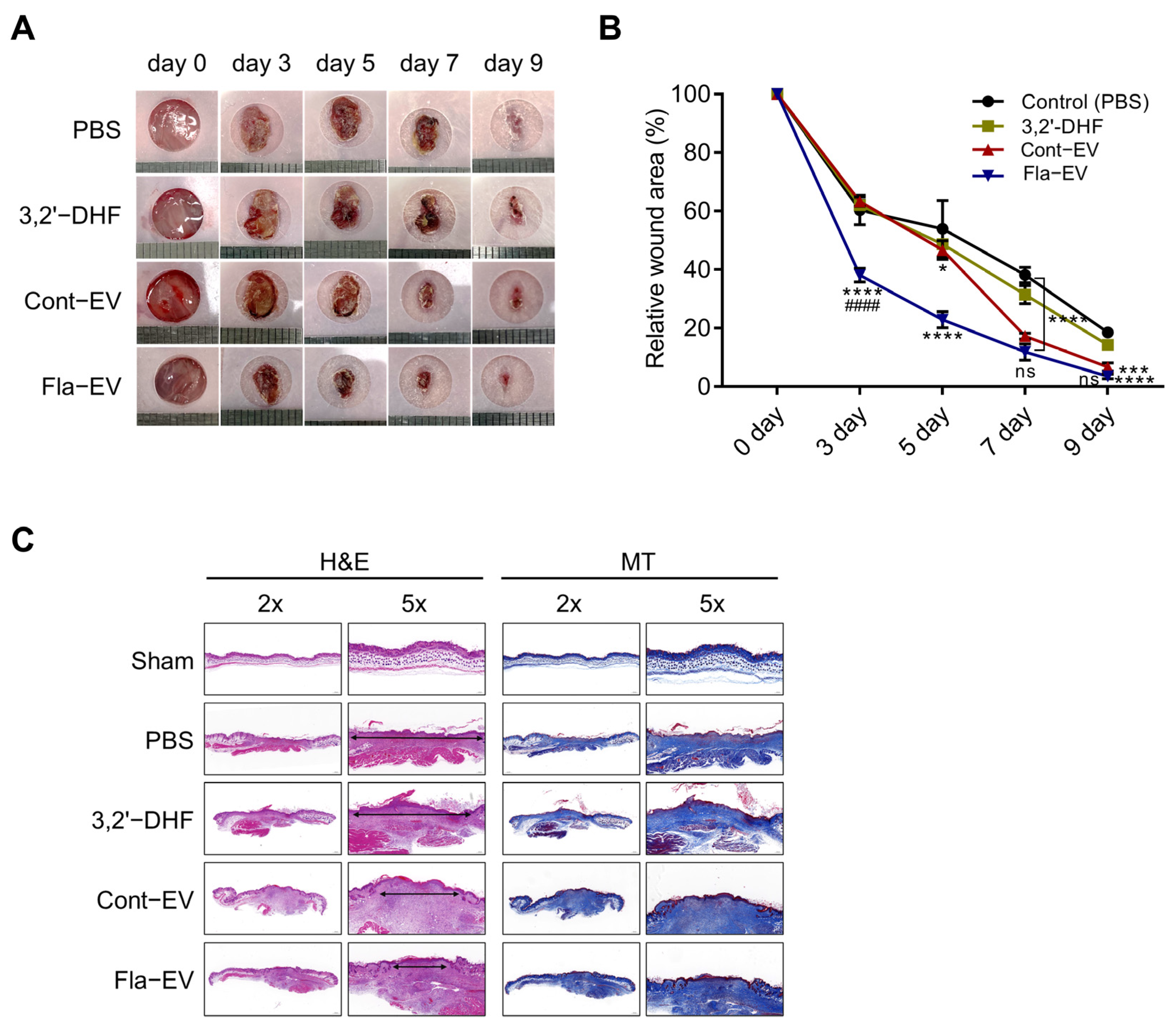 Ijms 24 06964 g005 Ijms 24 06964 g005