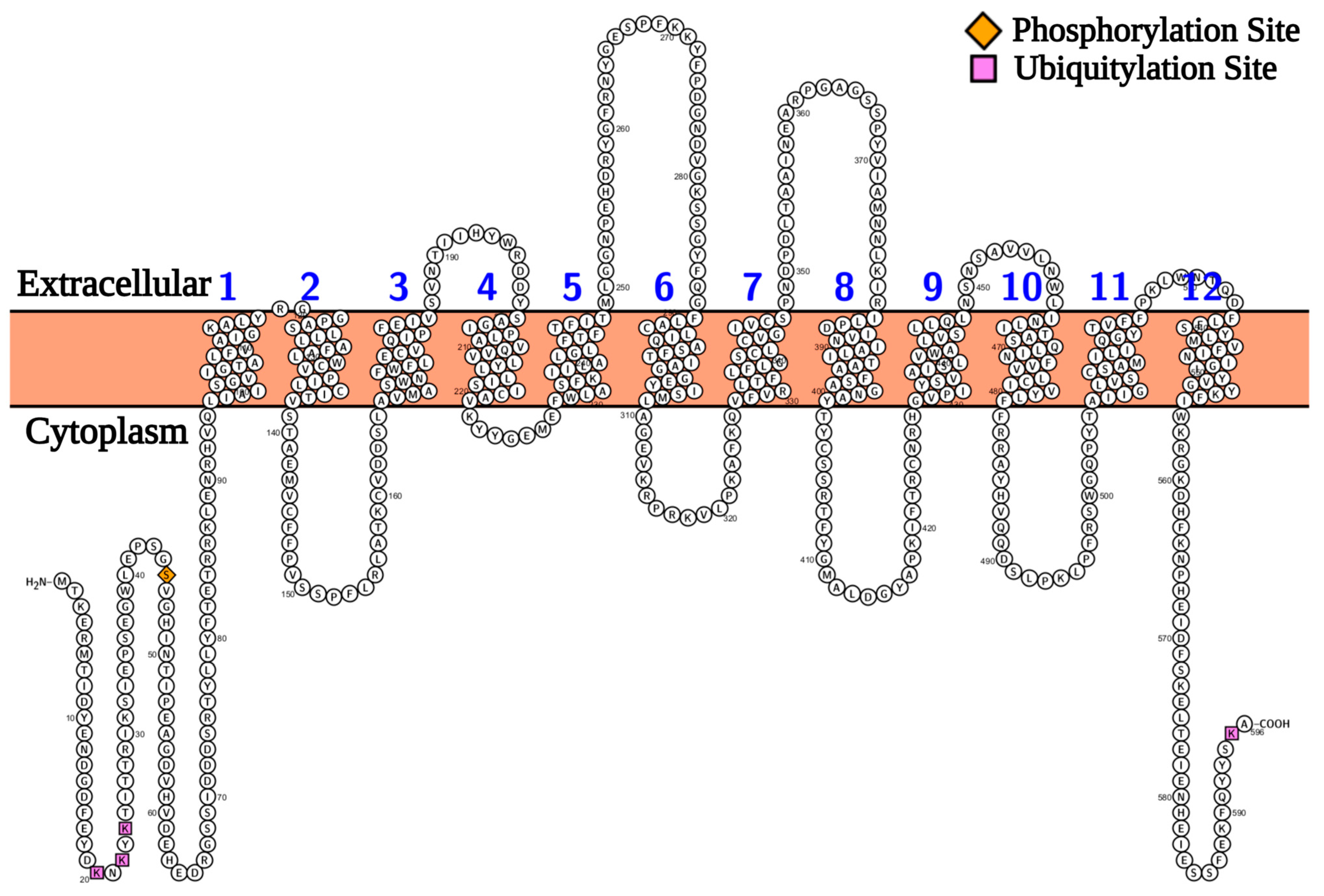 Ijms 24 06975 g001 Ijms 24 06975 g001