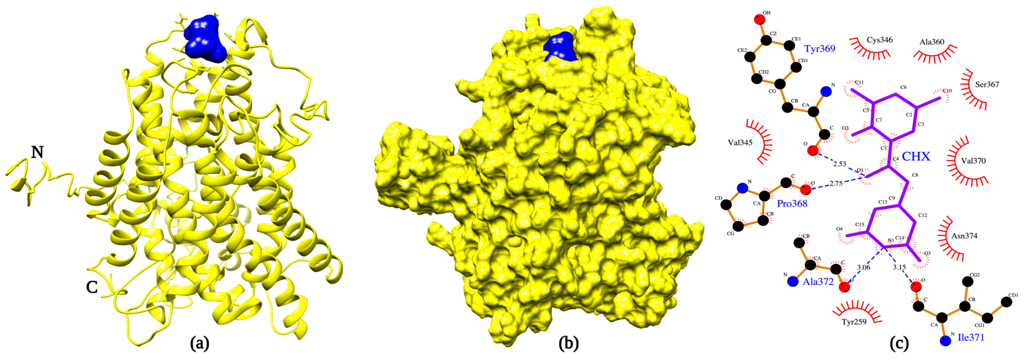 Ijms 24 06975 g003 Ijms 24 06975 g003