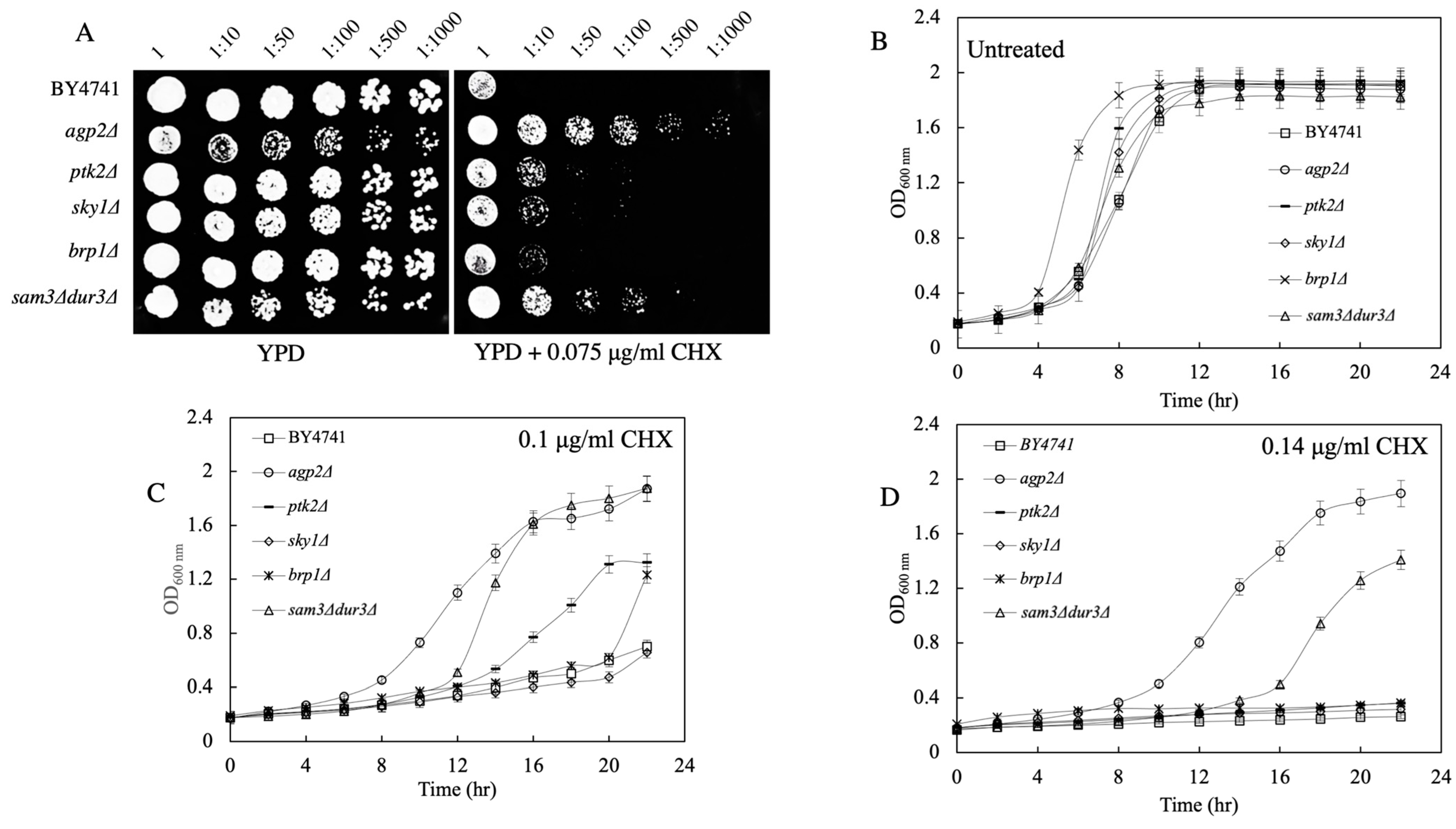 Ijms 24 06975 g004 Ijms 24 06975 g004