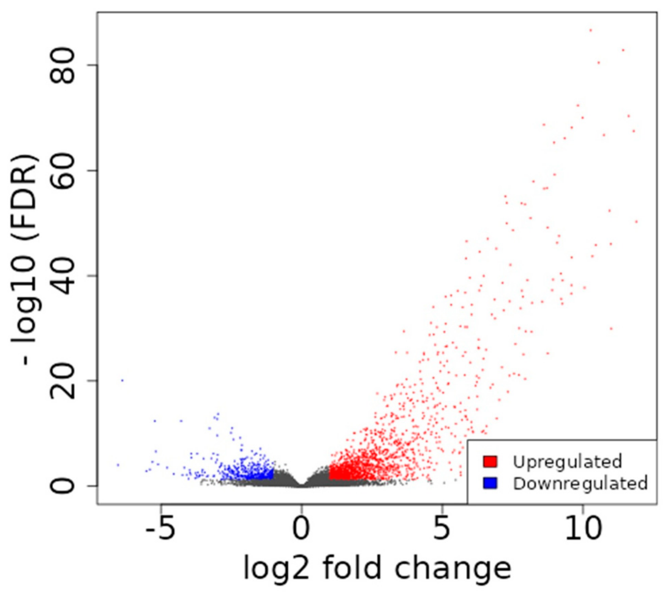 Ijms 24 06984 g001 Ijms 24 06984 g001