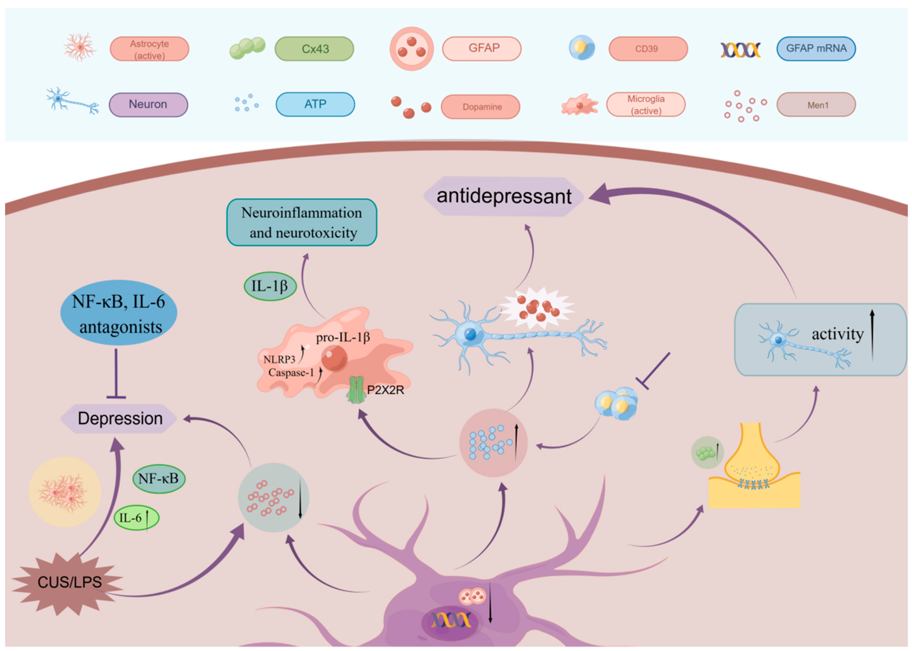 Ijms 24 06985 g002 Ijms 24 06985 g002