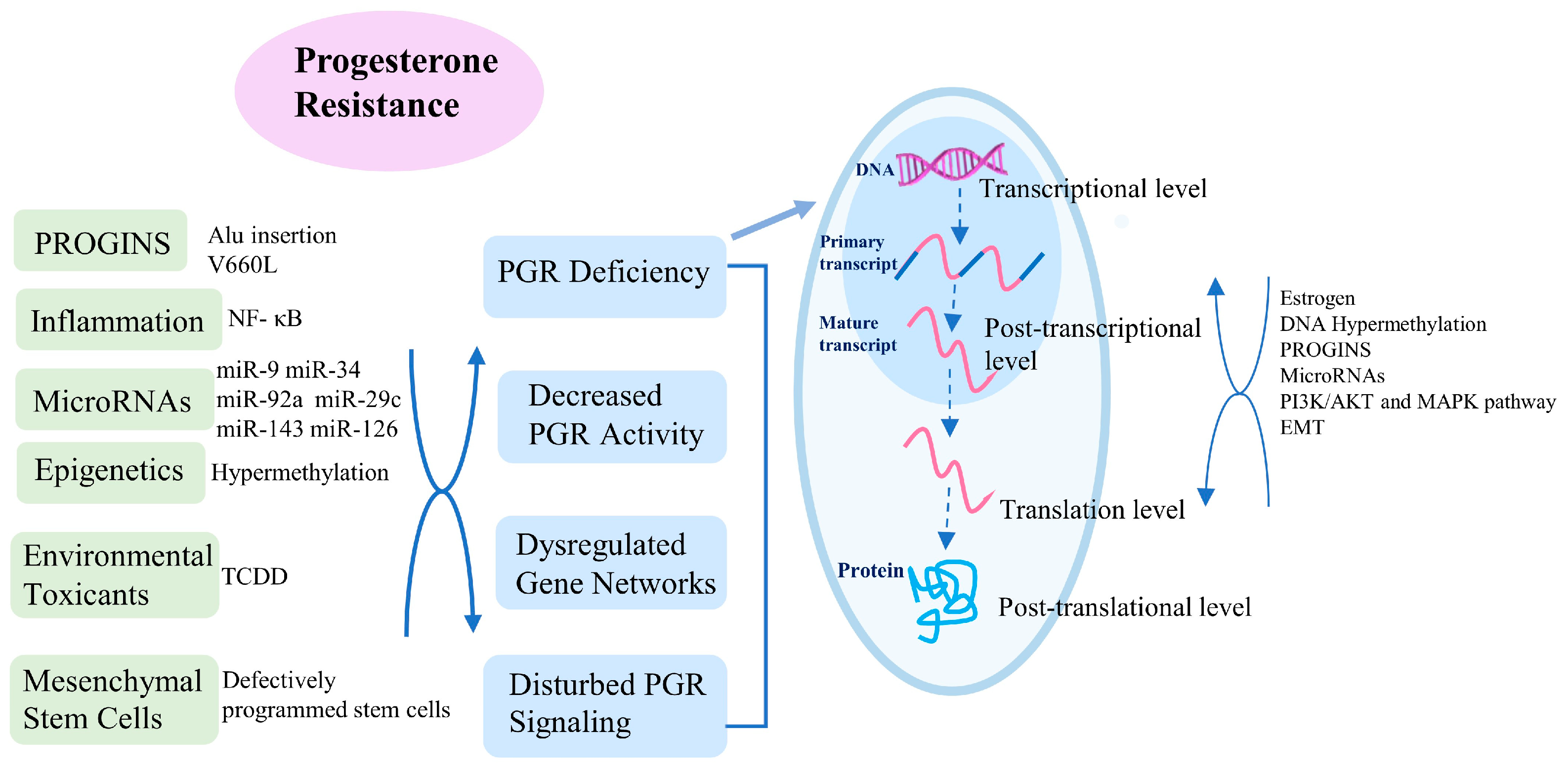 Ijms 24 06992 g002 Ijms 24 06992 g002