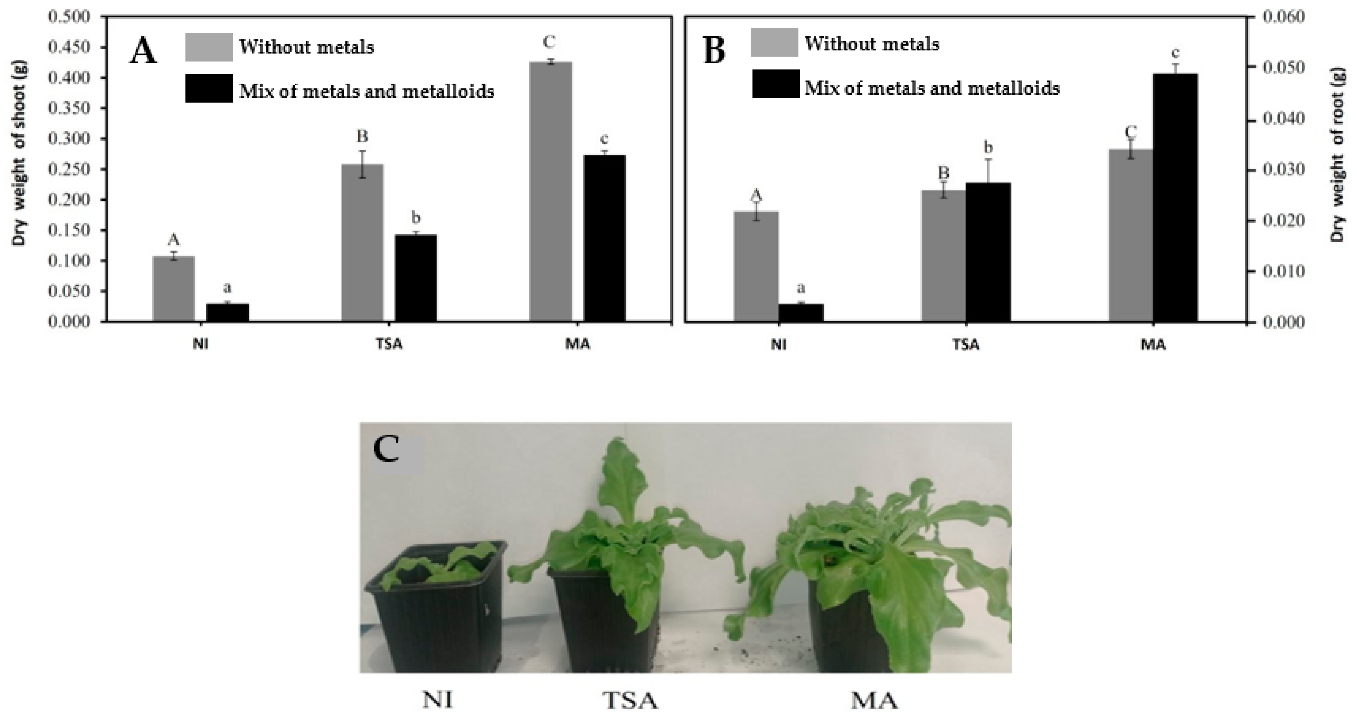 Ijms 24 07003 g001 Ijms 24 07003 g001