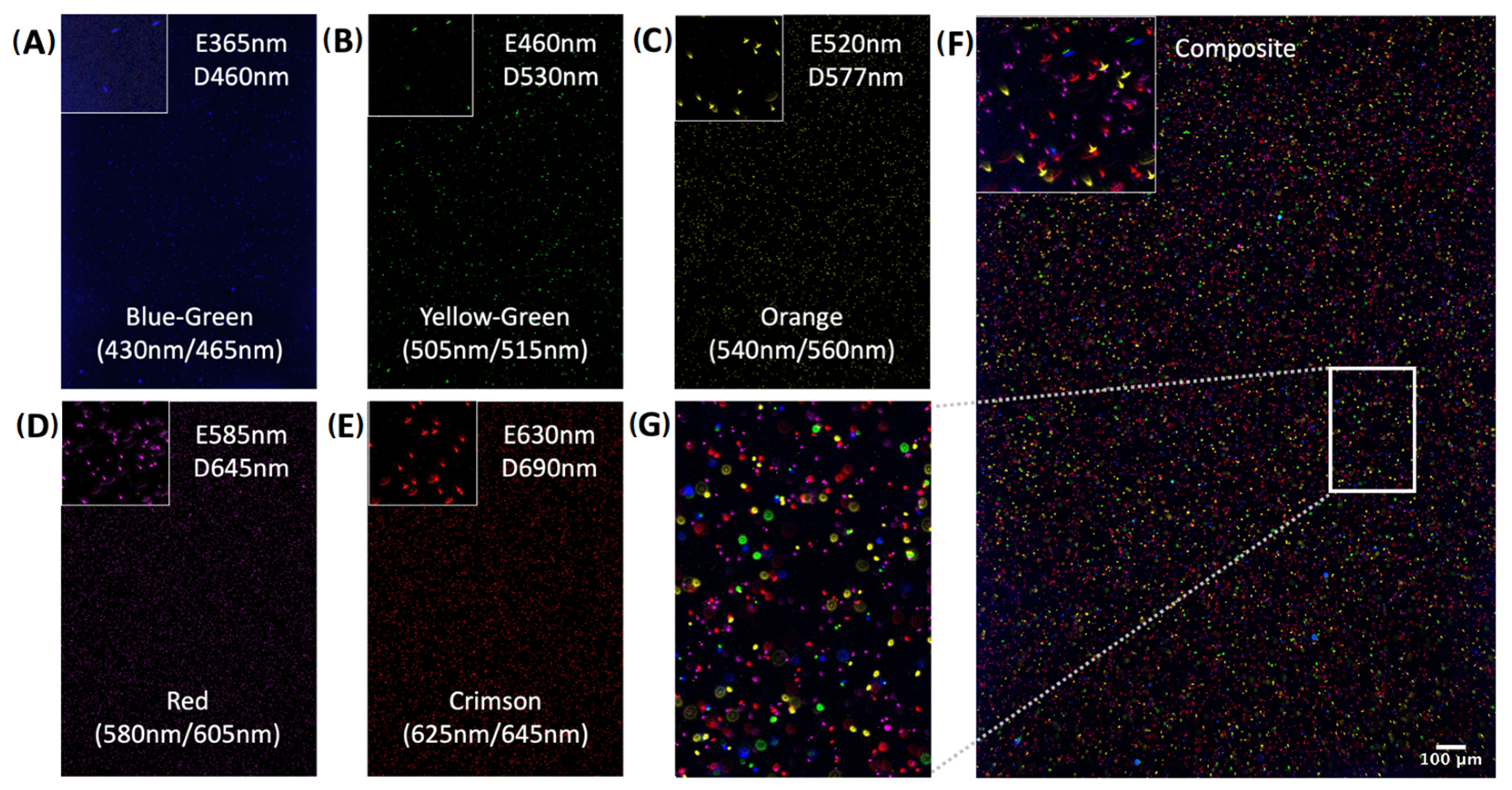 Ijms 24 07008 g002 Ijms 24 07008 g002