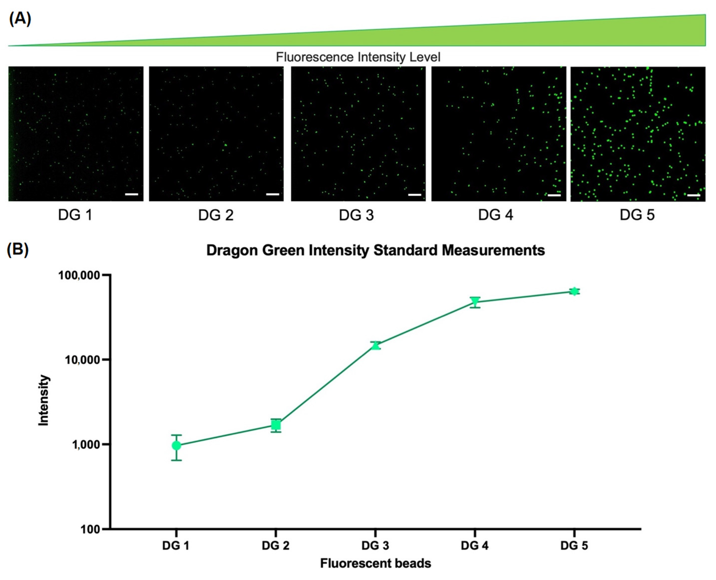 Ijms 24 07008 g003 Ijms 24 07008 g003