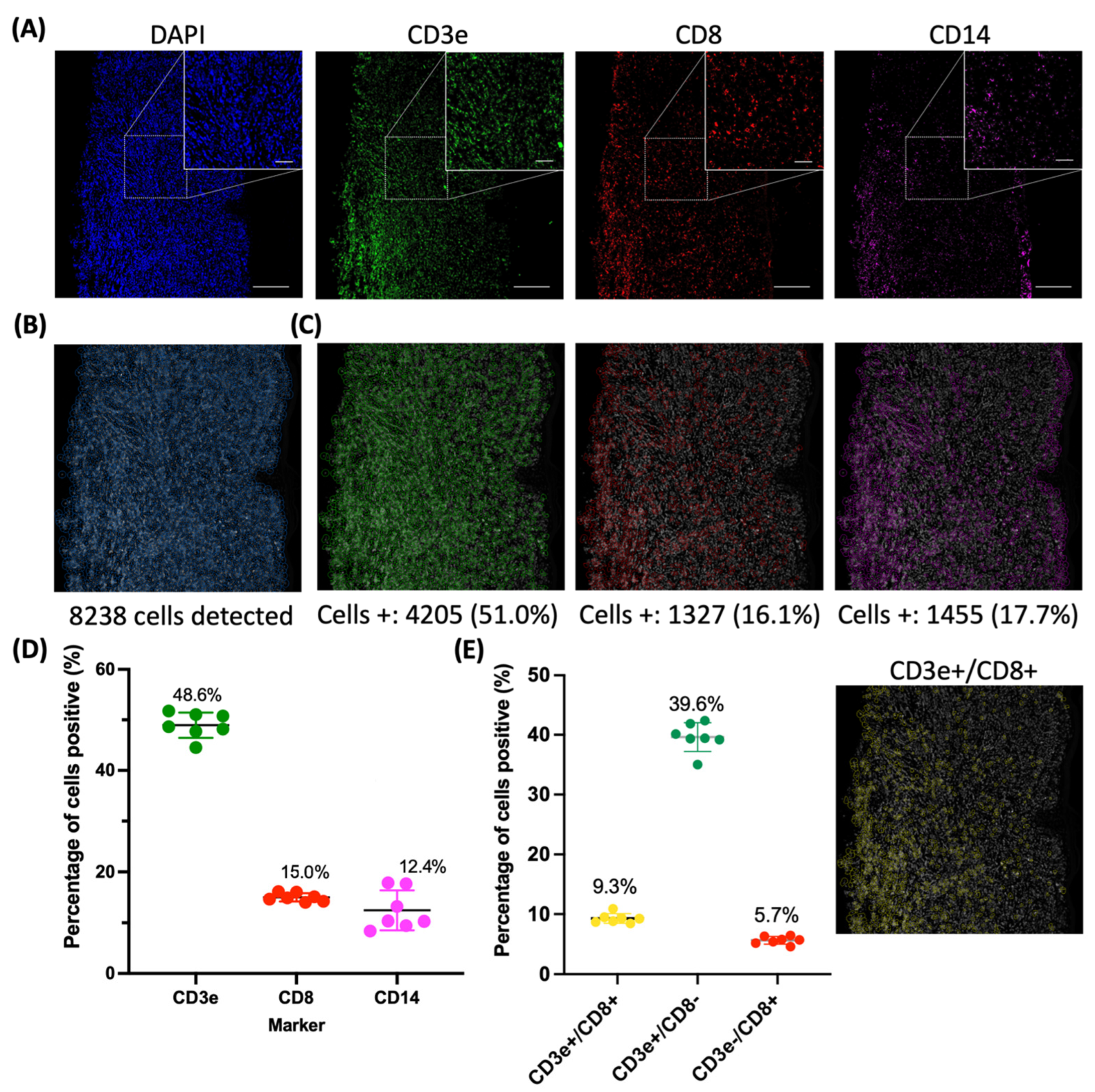 Ijms 24 07008 g005 Ijms 24 07008 g005