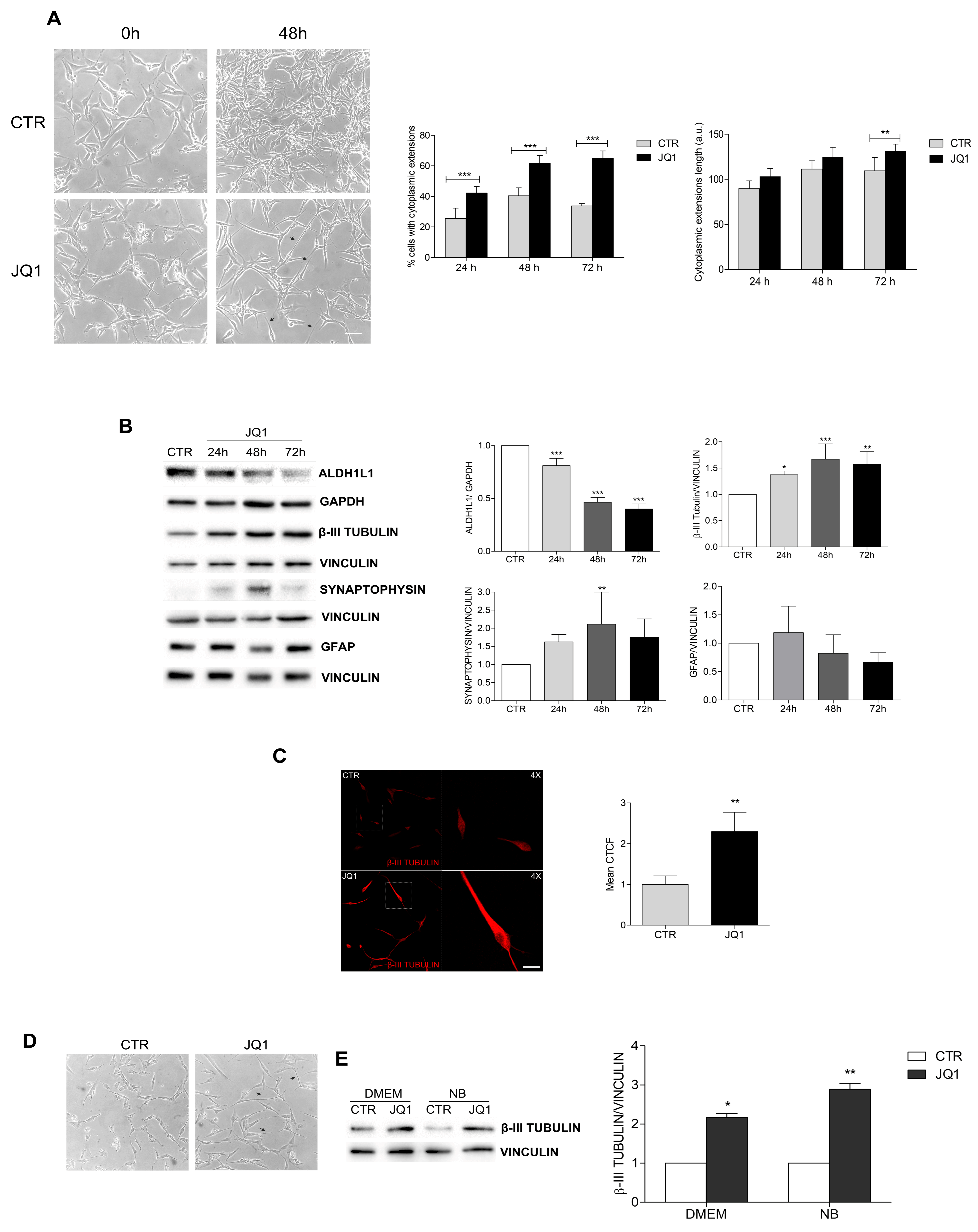 Ijms 24 07017 g004 Ijms 24 07017 g004