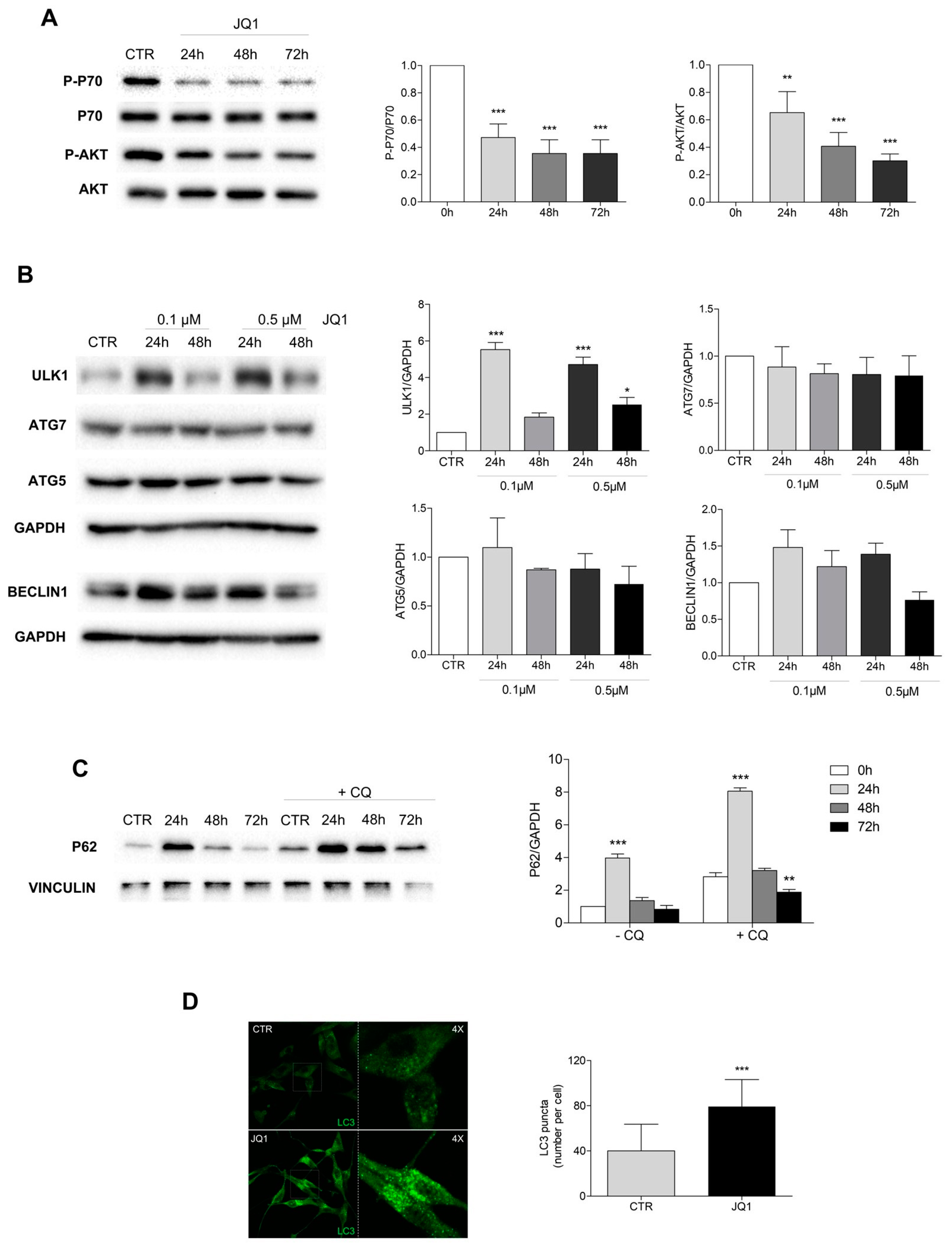 Ijms 24 07017 g005 Ijms 24 07017 g005