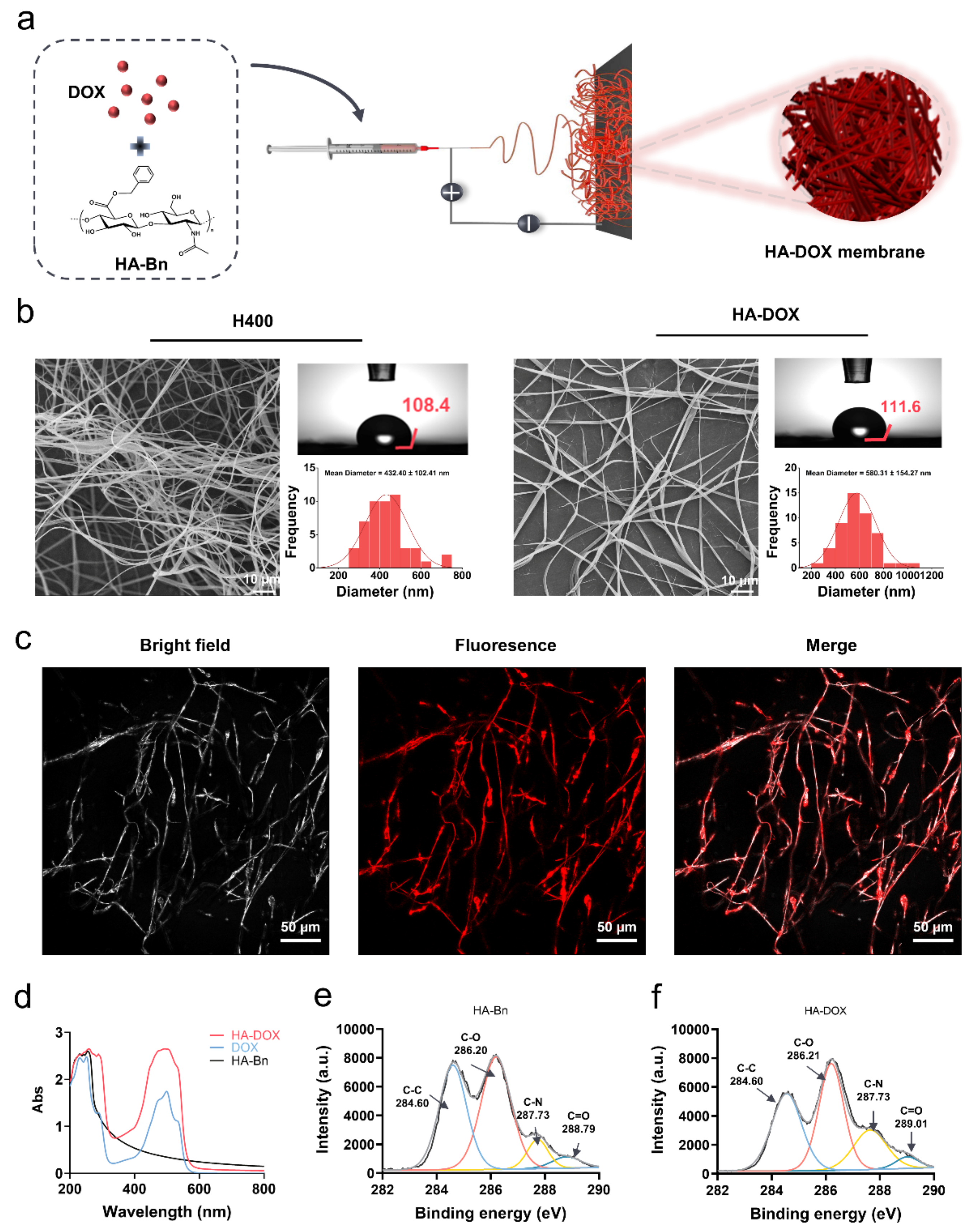 Ijms 24 07023 g004 Ijms 24 07023 g004