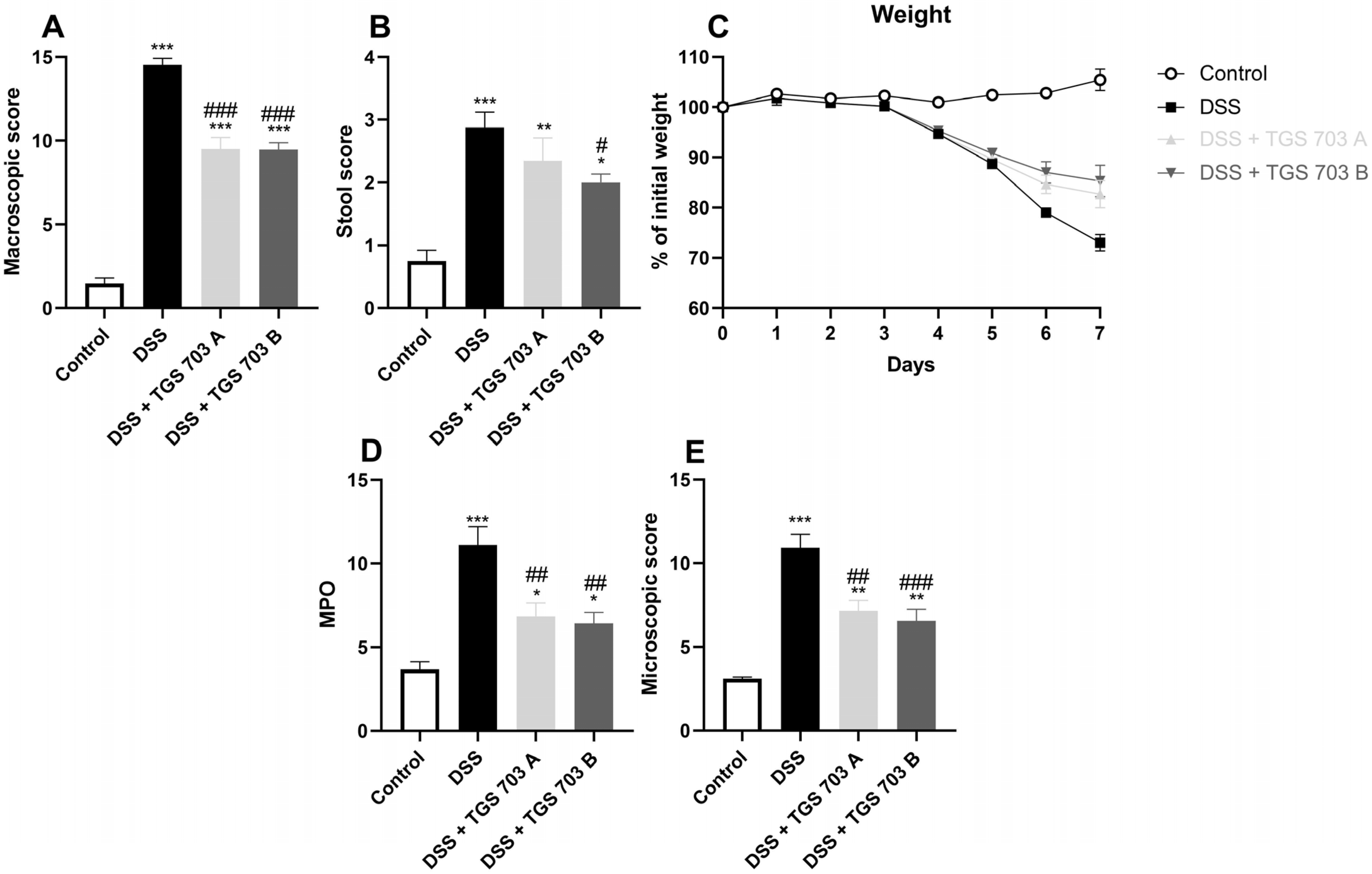 Ijms 24 07025 g008 Ijms 24 07025 g008