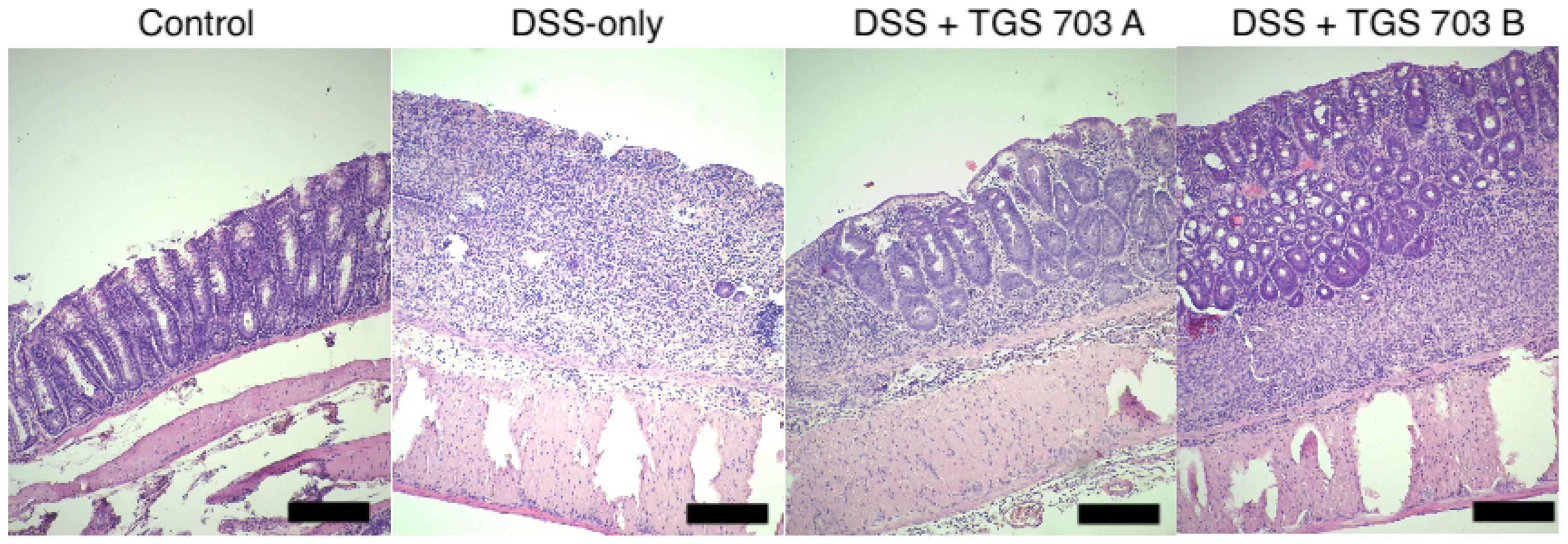 Ijms 24 07025 g009 Ijms 24 07025 g009