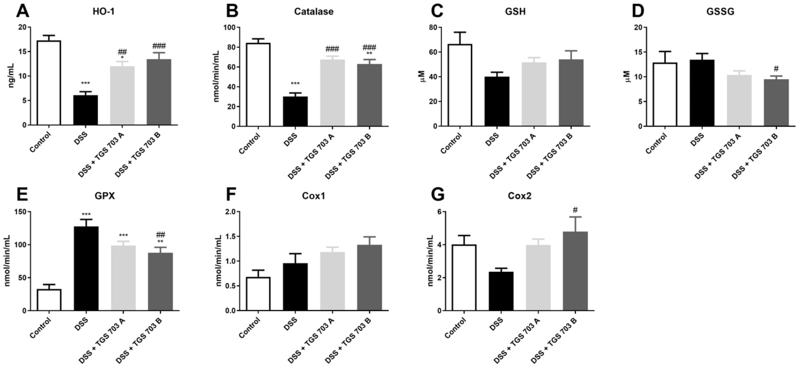 Ijms 24 07025 g010 Ijms 24 07025 g010