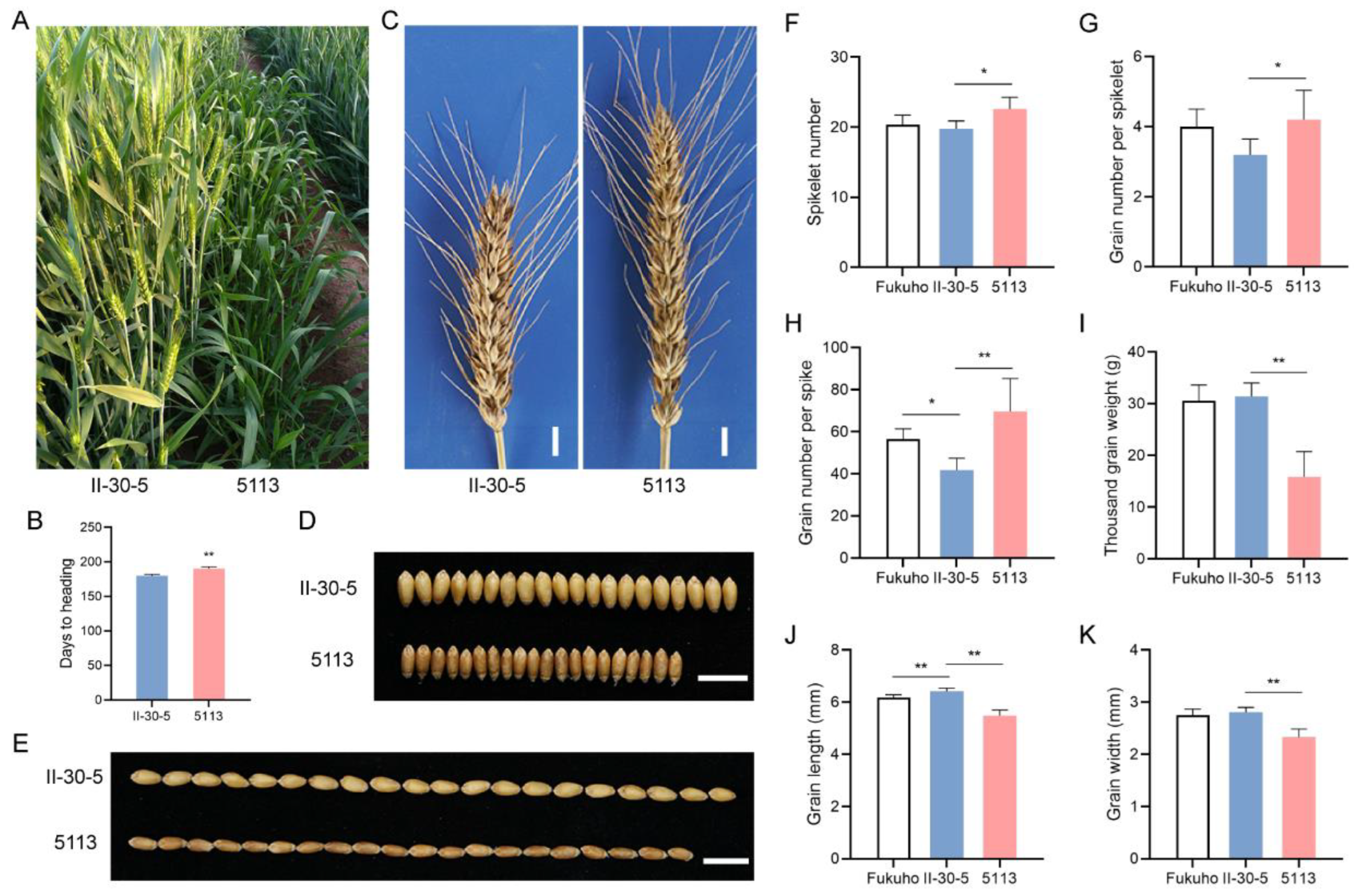 Ijms 24 07056 g002 Ijms 24 07056 g002