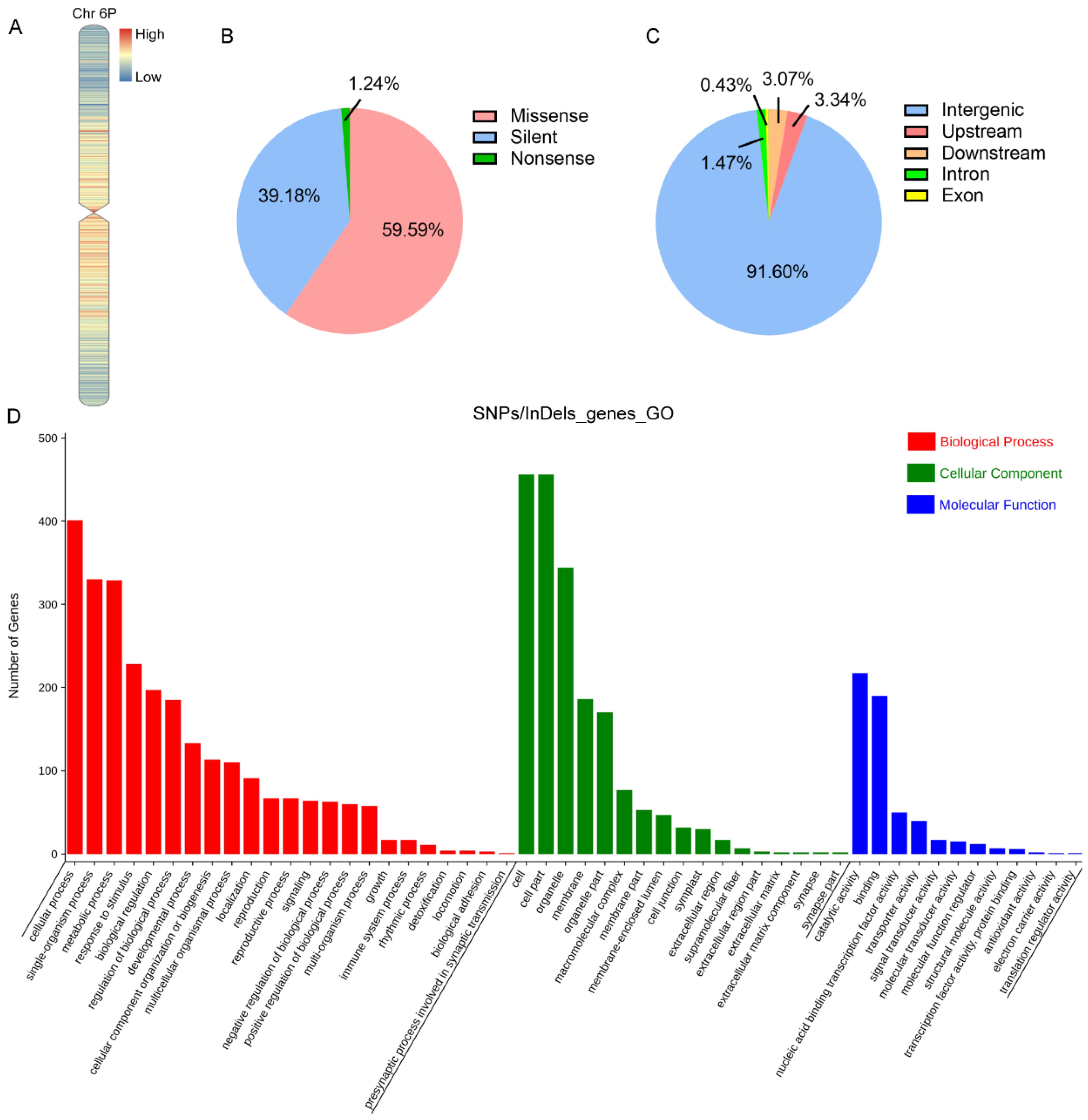 Ijms 24 07056 g003 Ijms 24 07056 g003