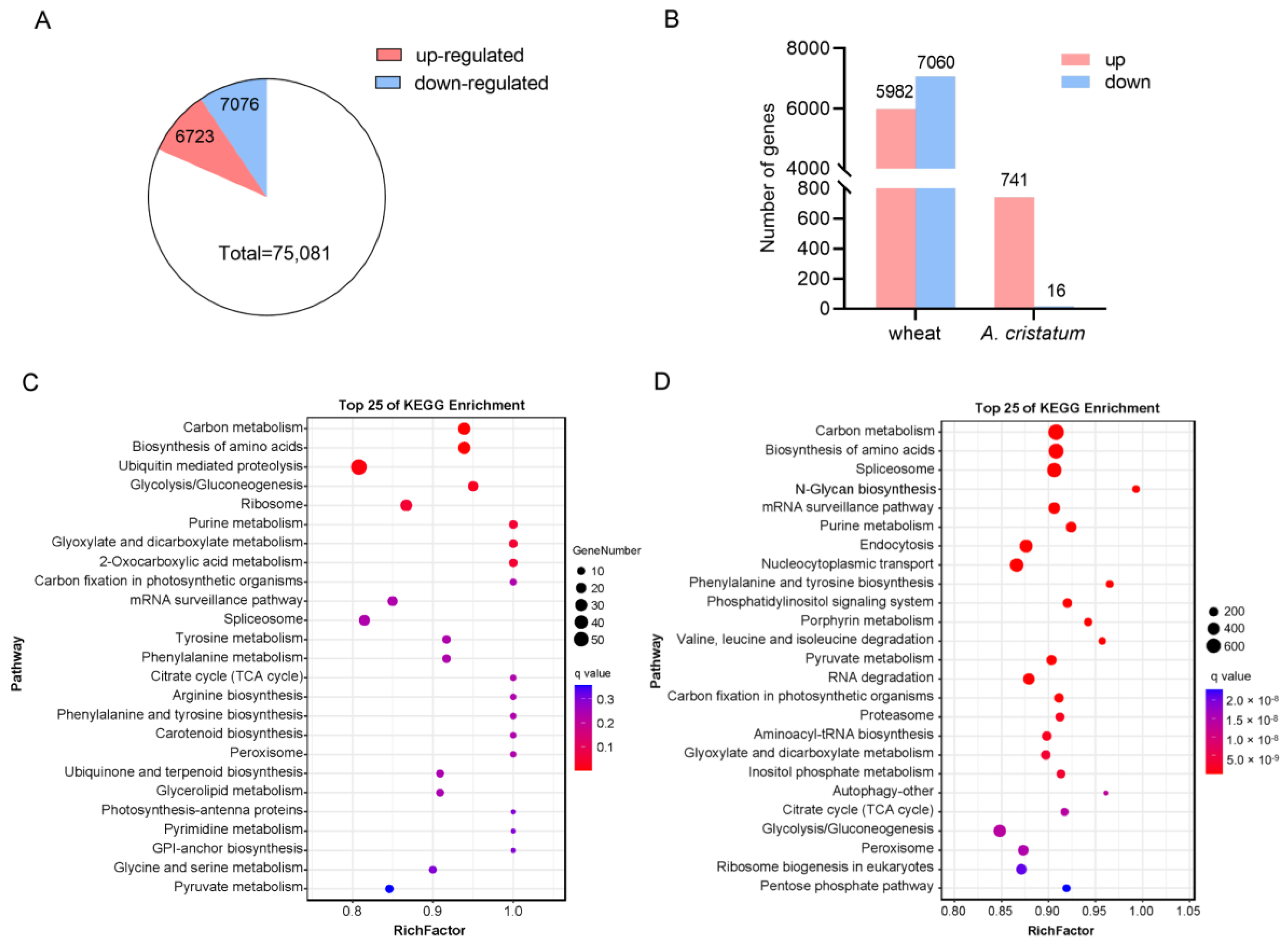 Ijms 24 07056 g004 Ijms 24 07056 g004