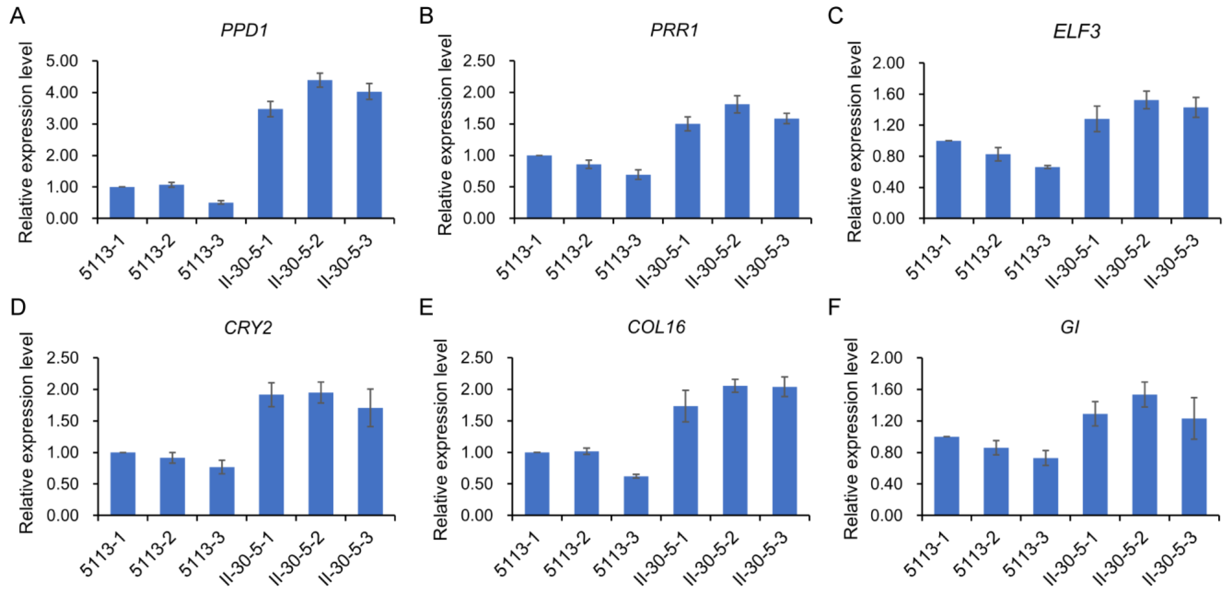 Ijms 24 07056 g006 Ijms 24 07056 g006