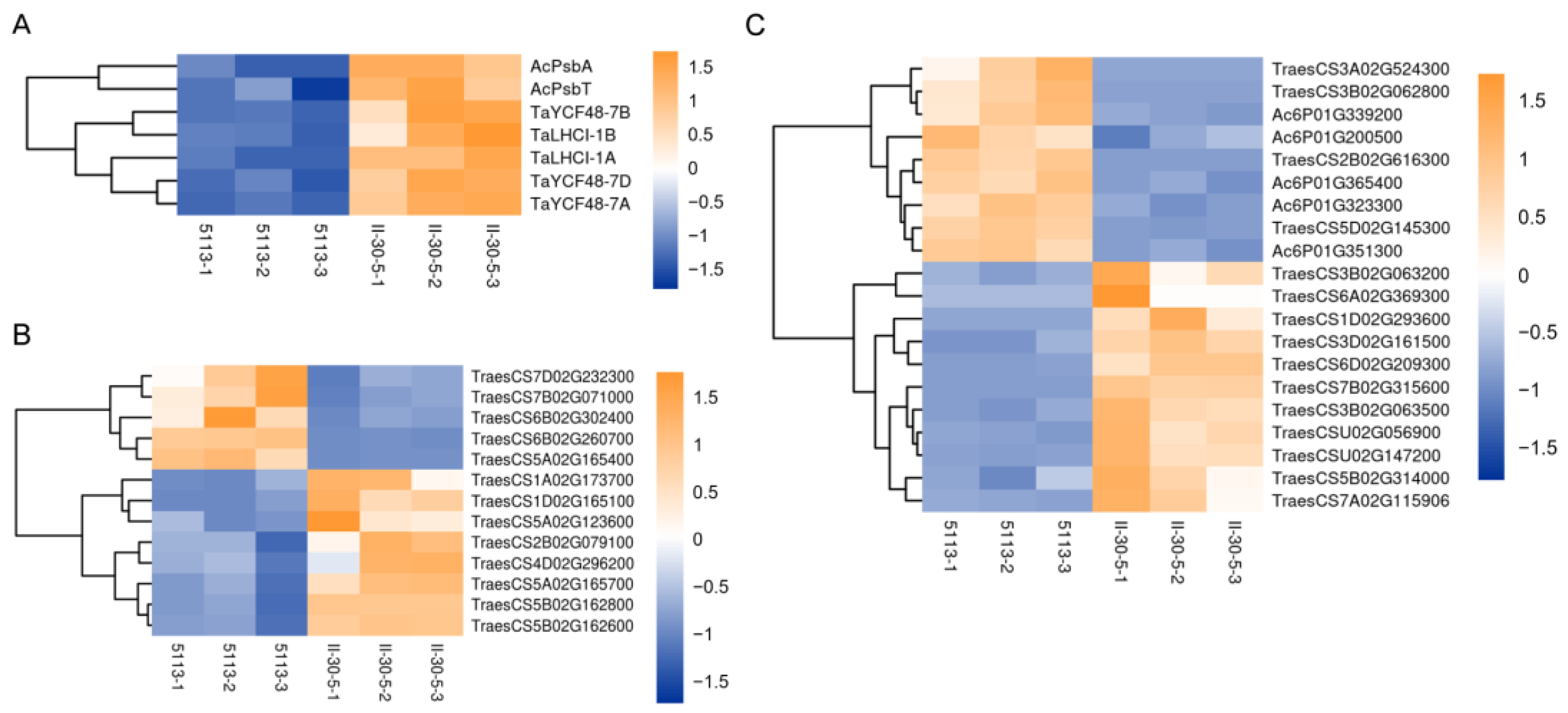 Ijms 24 07056 g007 Ijms 24 07056 g007