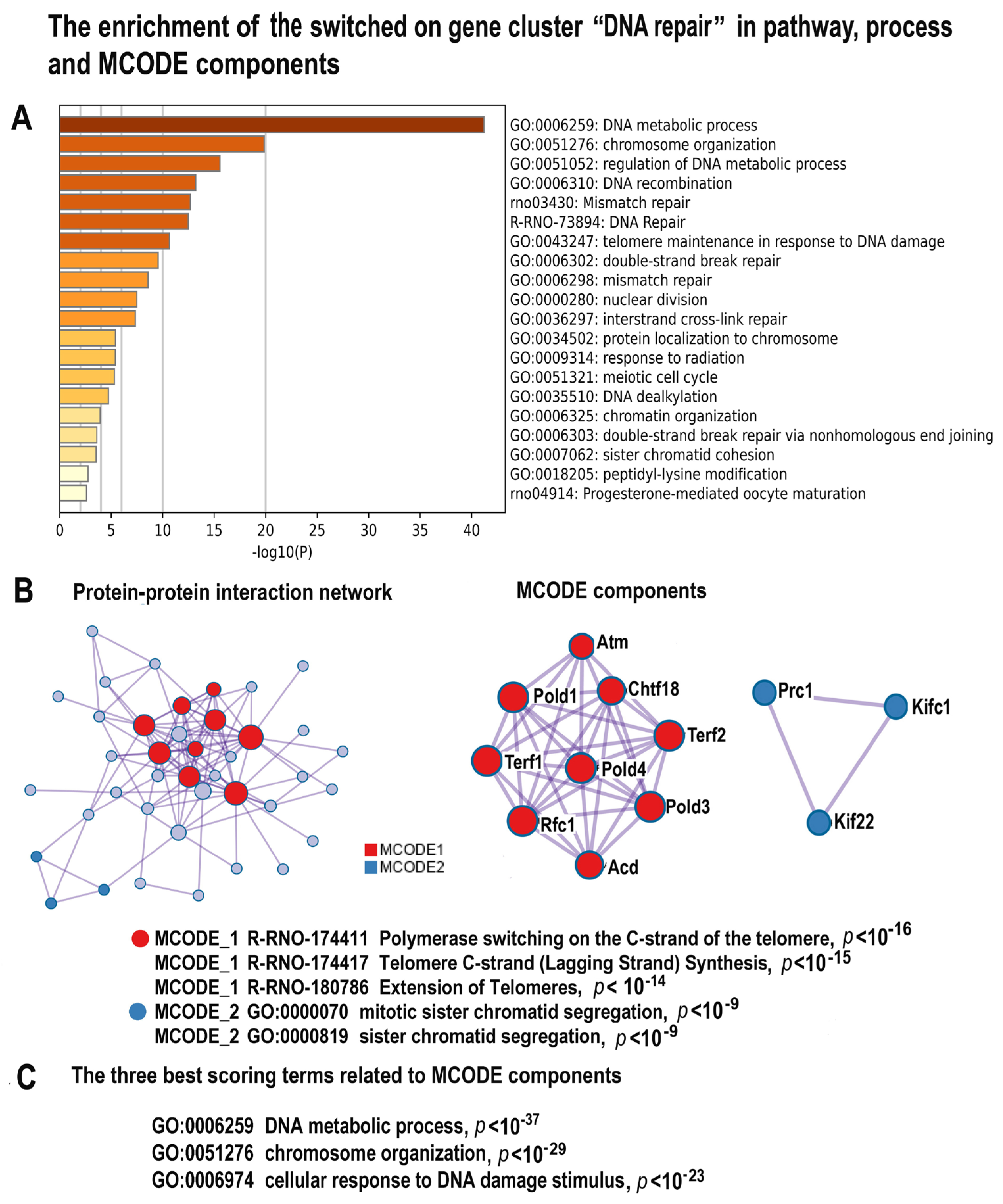 Ijms 24 07063 g004 Ijms 24 07063 g004
