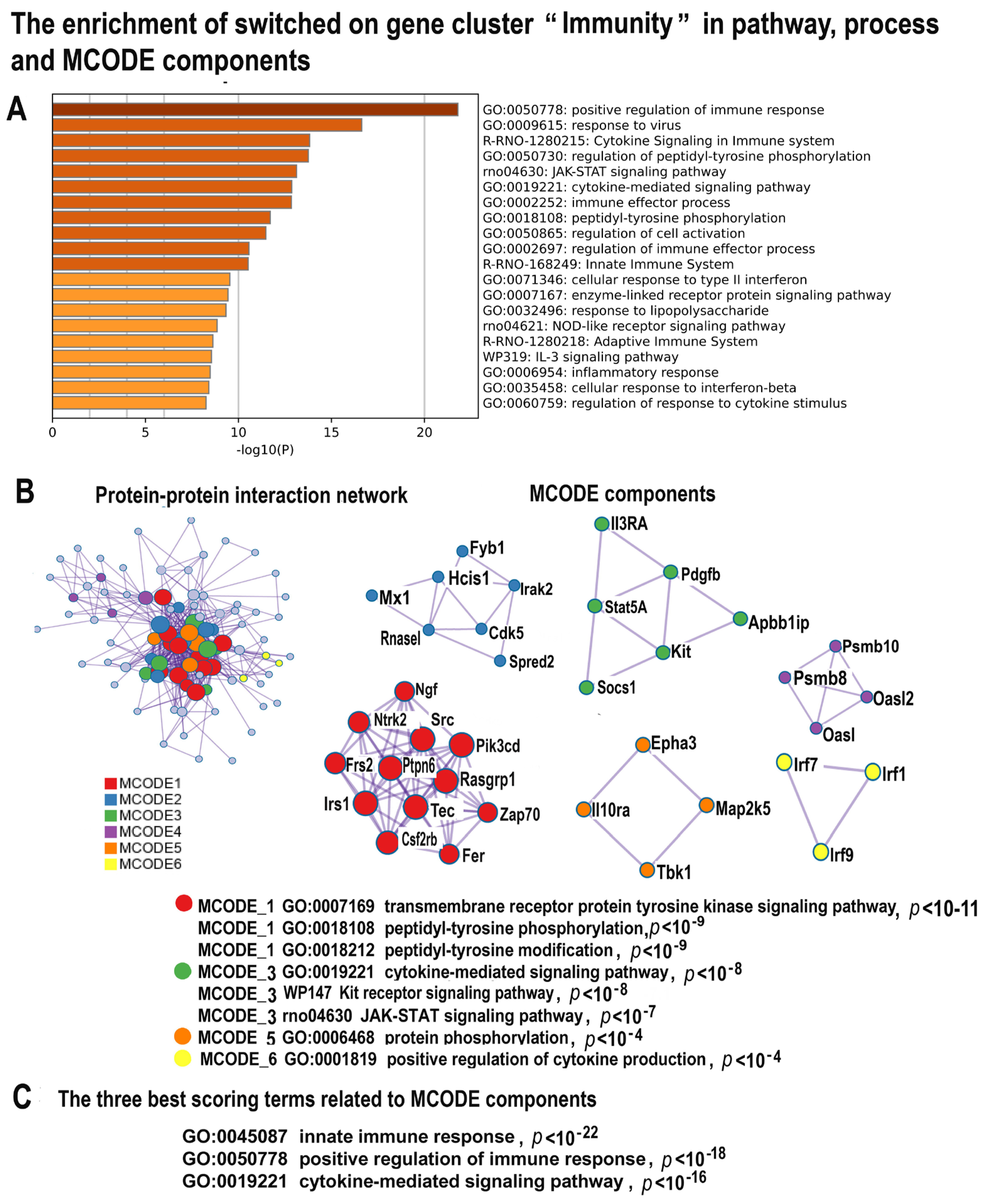 Ijms 24 07063 g005 Ijms 24 07063 g005