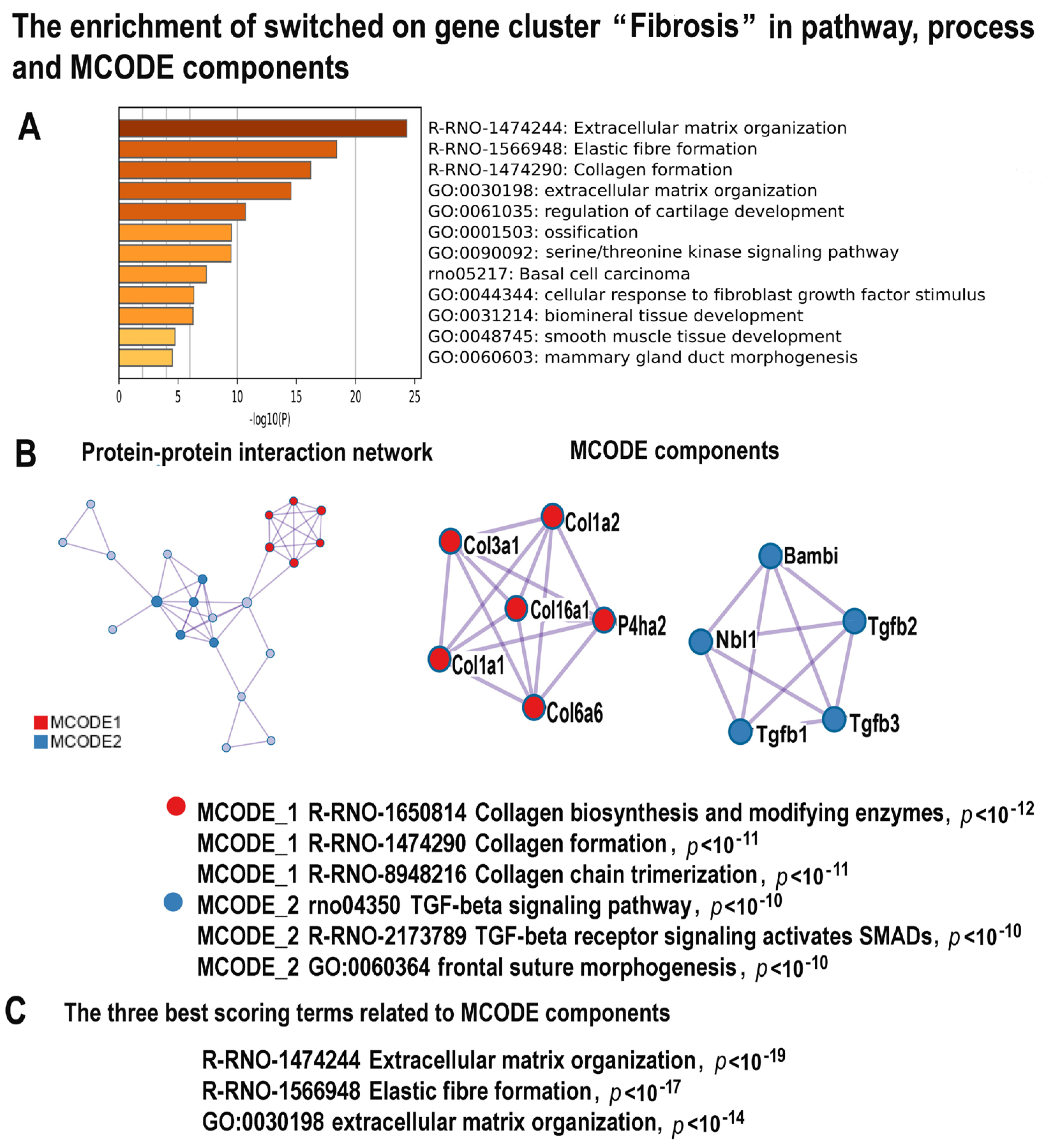 Ijms 24 07063 g006 Ijms 24 07063 g006