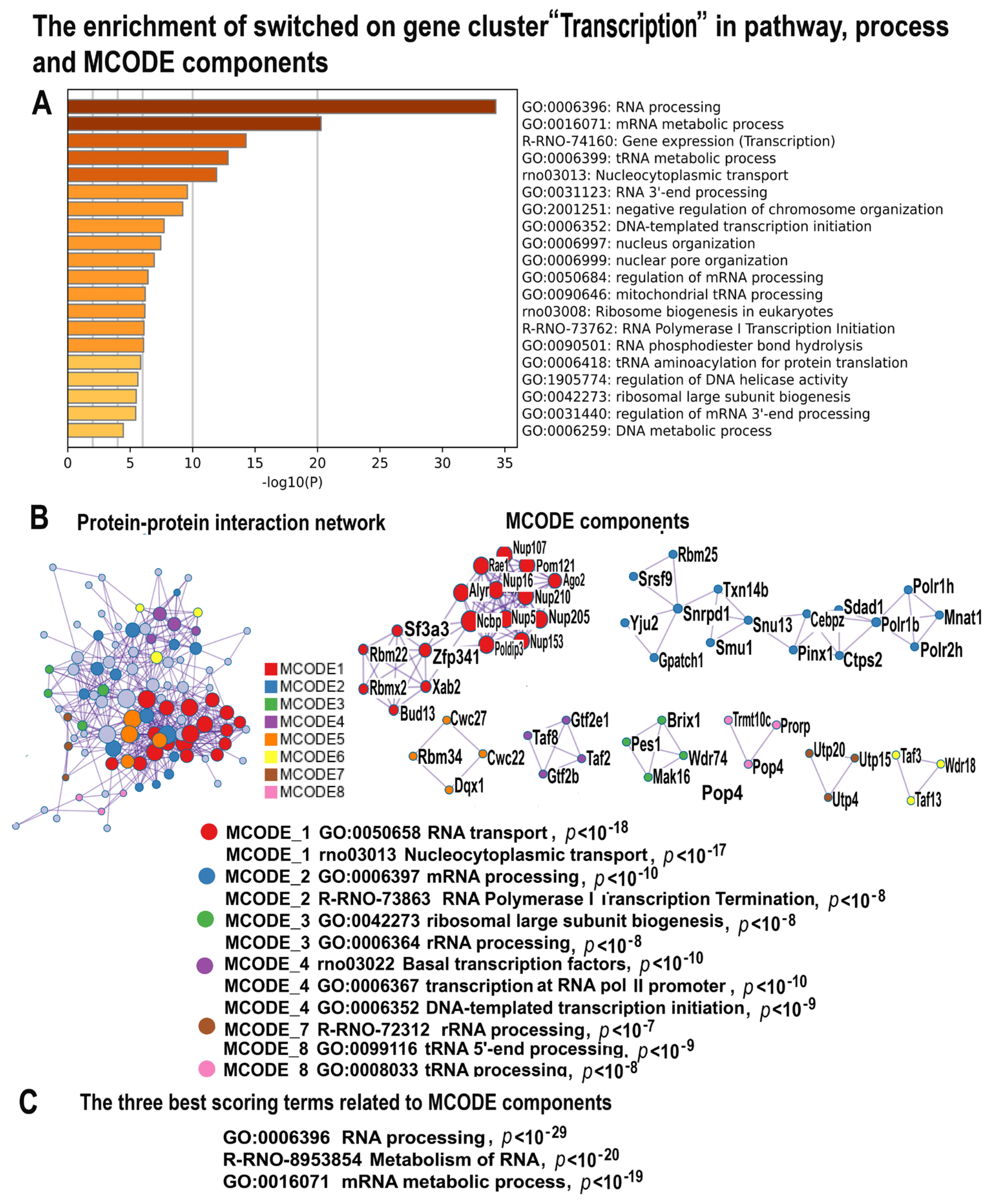 Ijms 24 07063 g007 Ijms 24 07063 g007