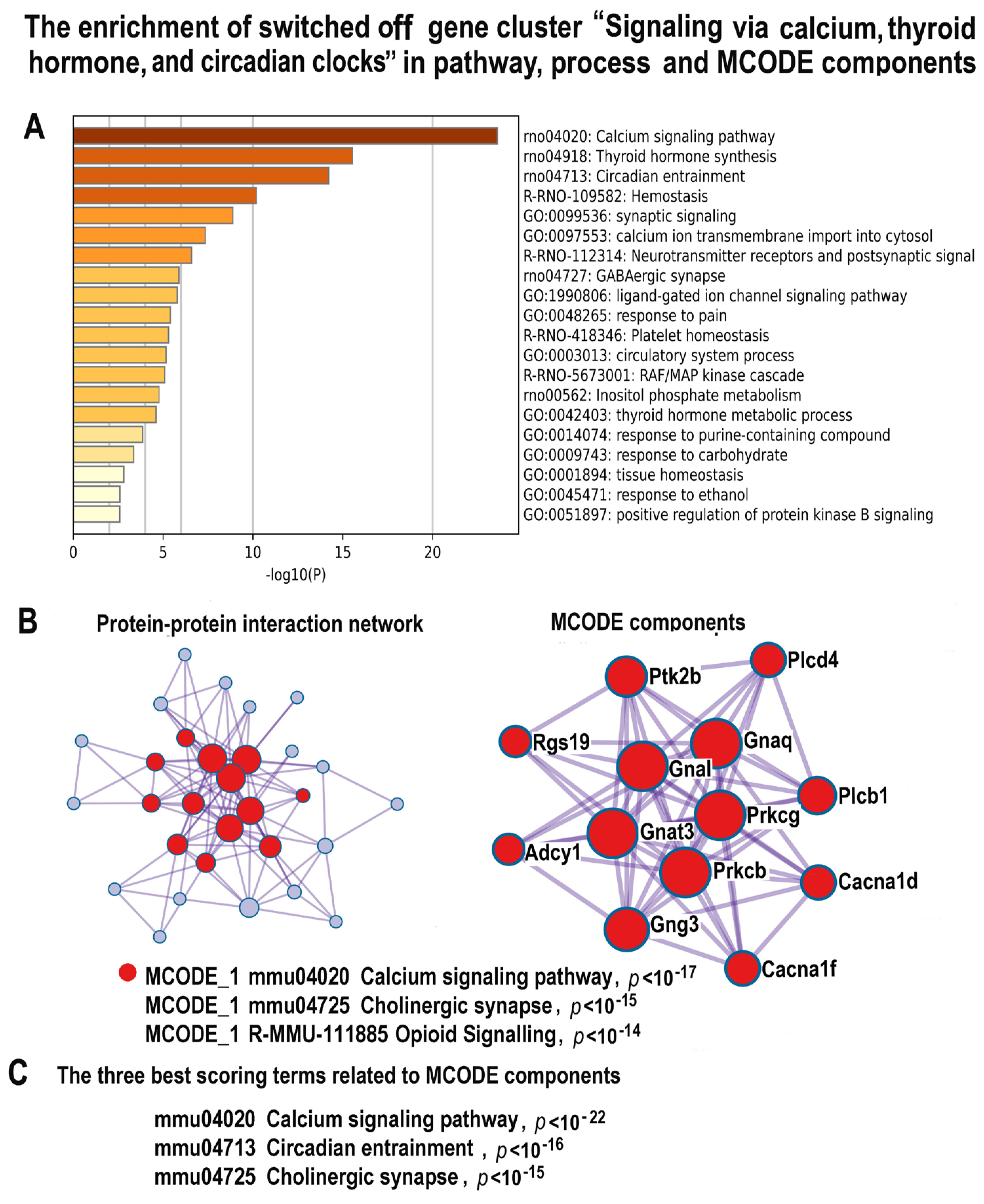 Ijms 24 07063 g008 Ijms 24 07063 g008