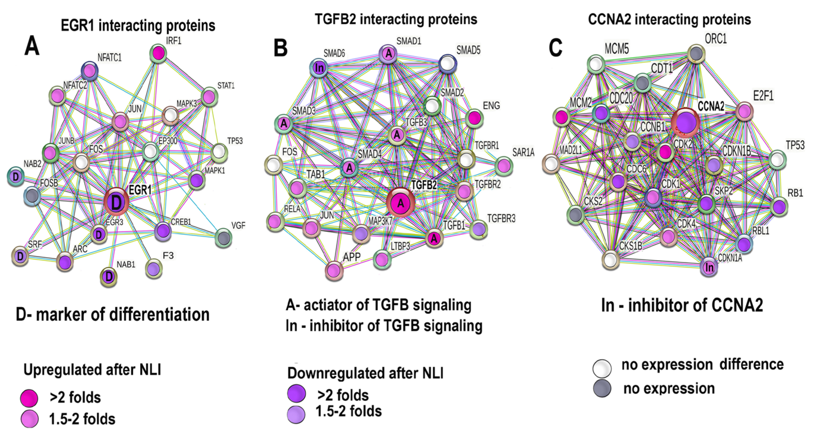 Ijms 24 07063 g010 Ijms 24 07063 g010