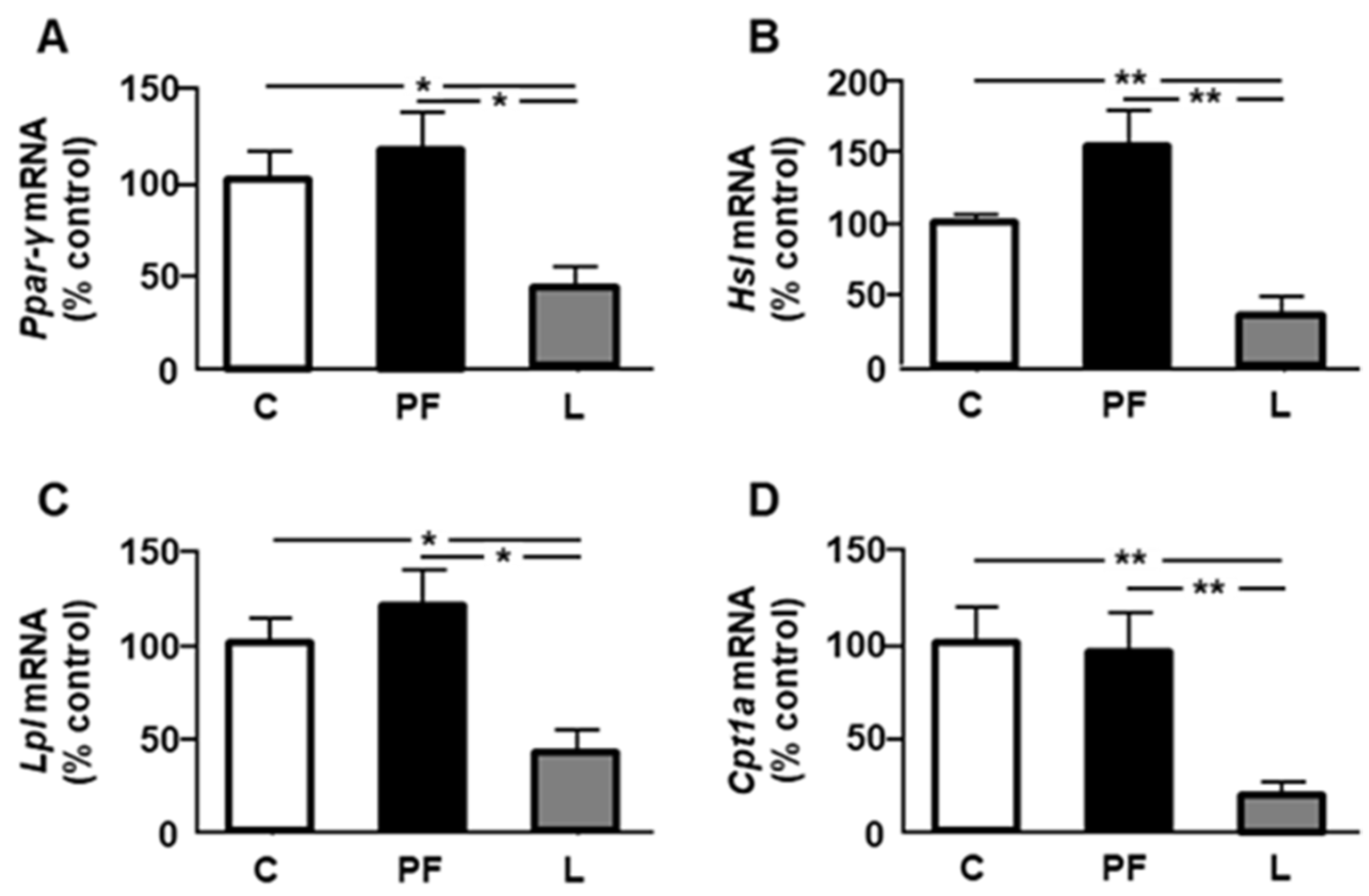 Ijms 24 07065 g002 Ijms 24 07065 g002