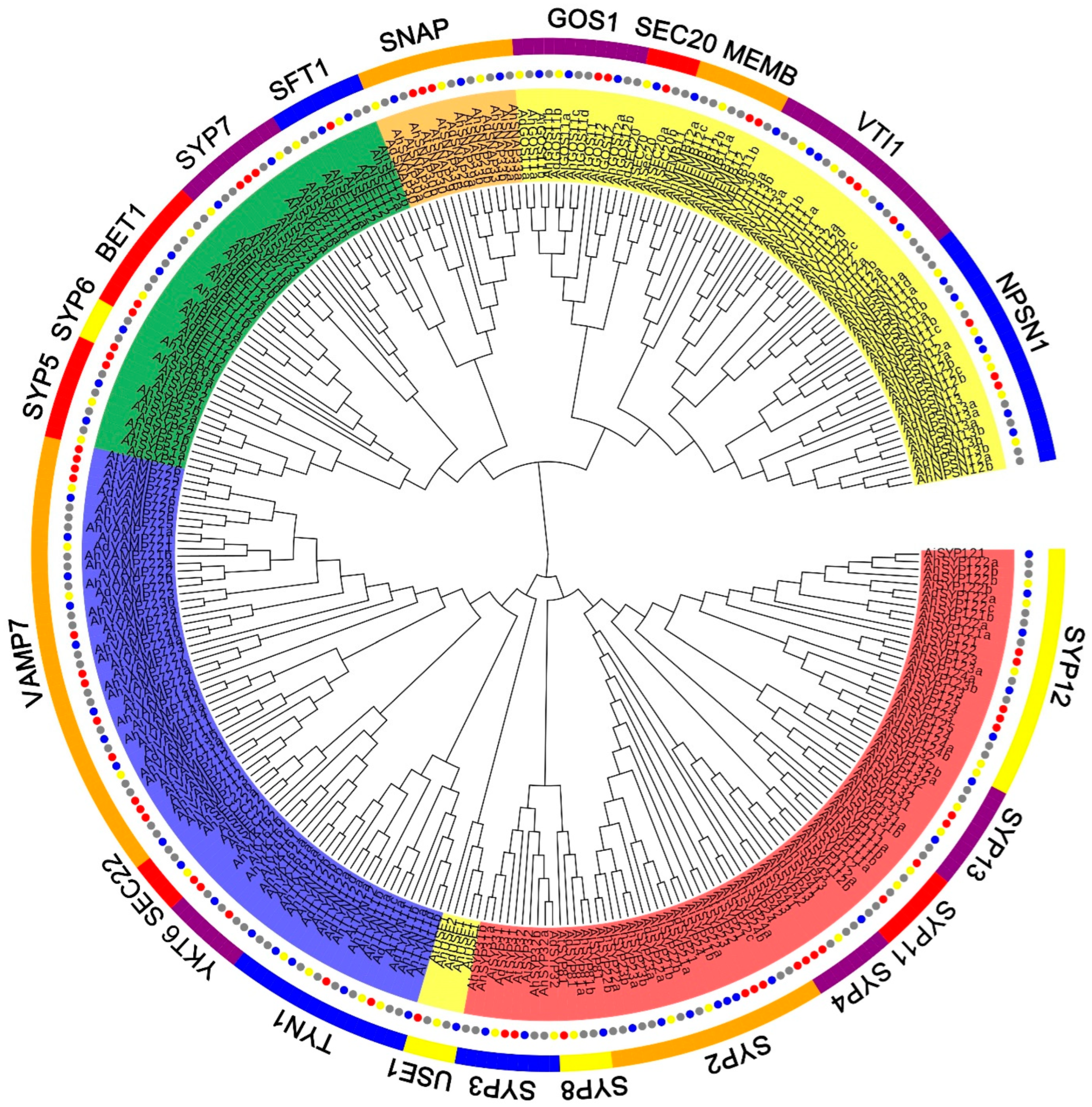 Ijms 24 07103 g001 Ijms 24 07103 g001