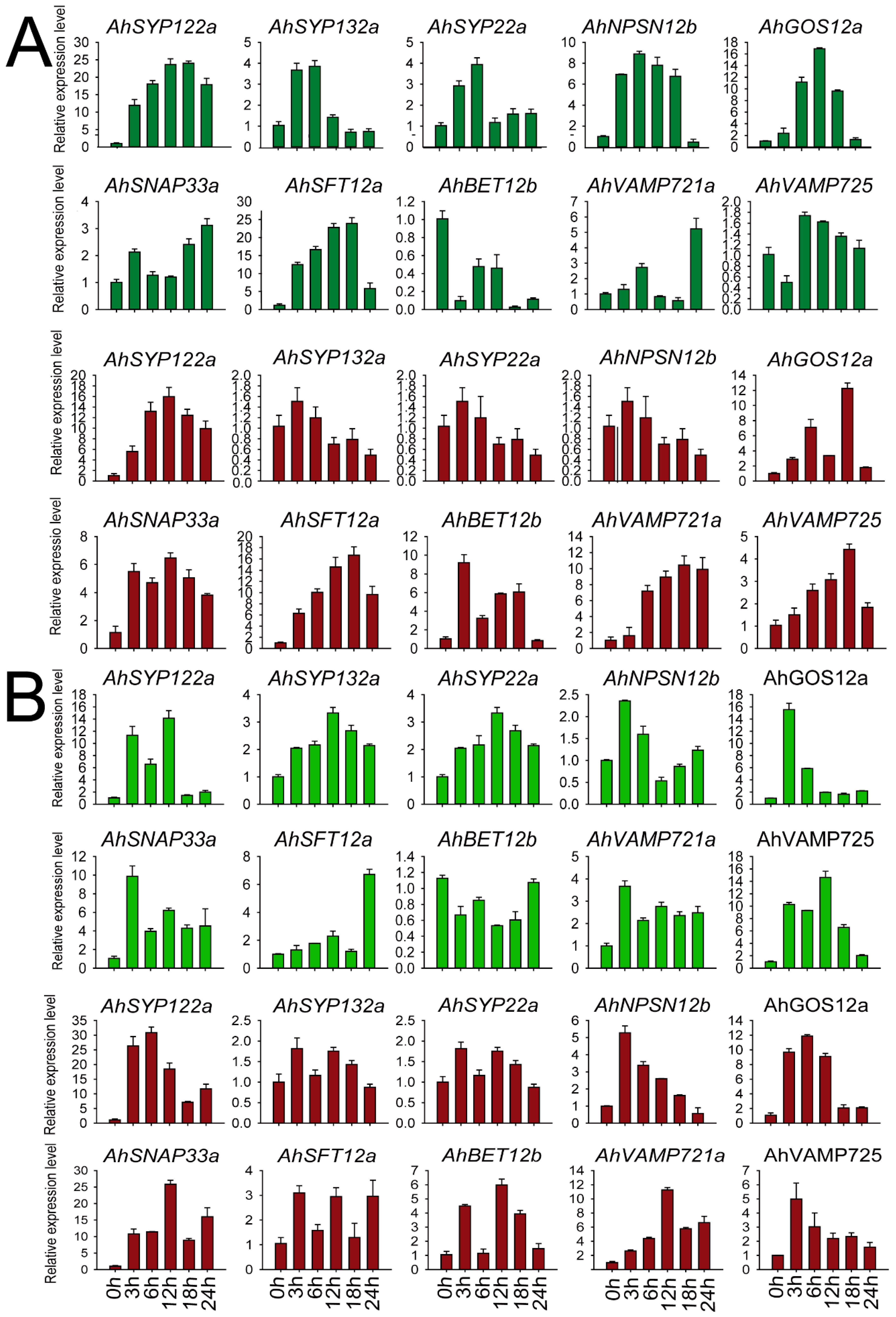 Ijms 24 07103 g007 Ijms 24 07103 g007