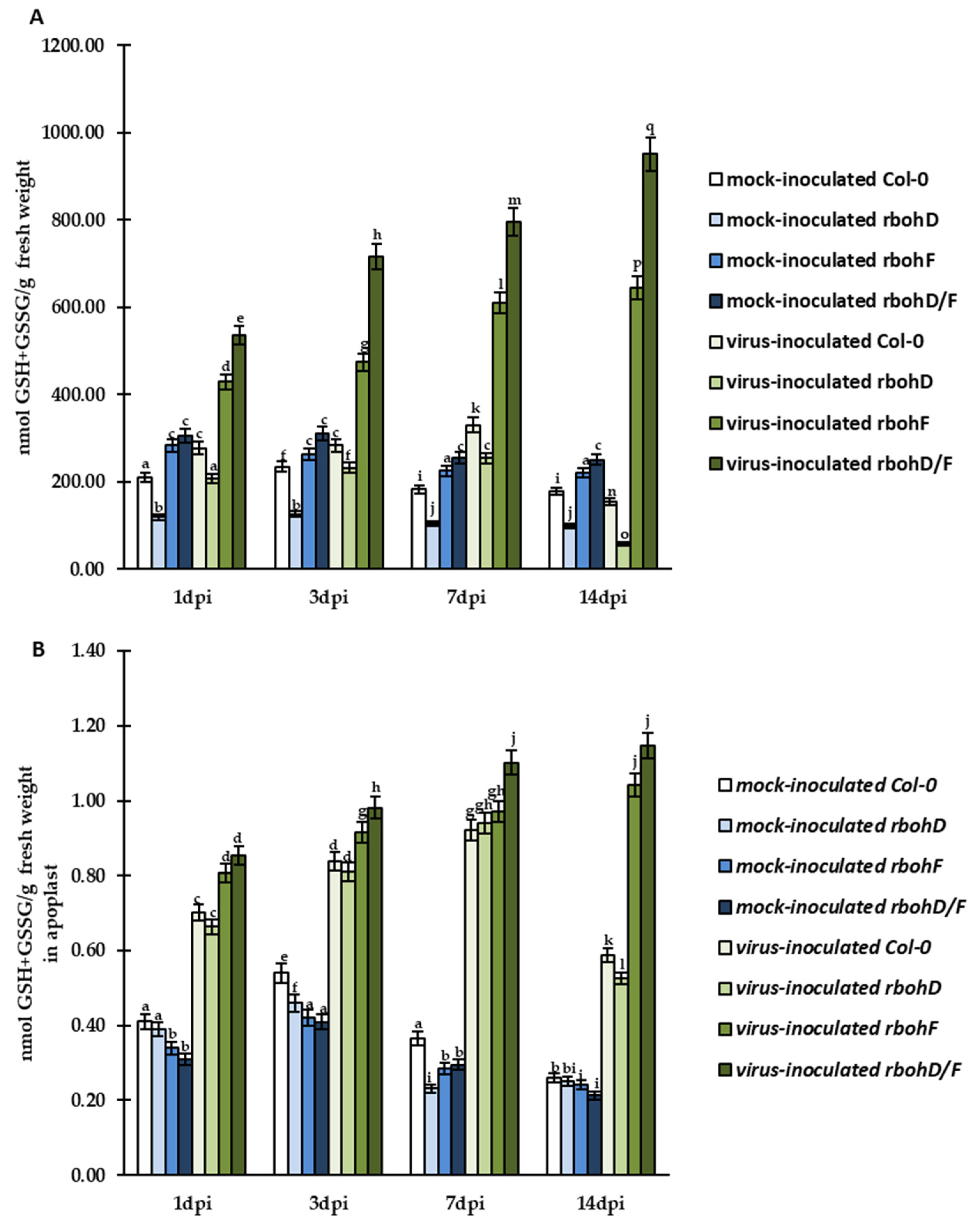 Ijms 24 07128 g007 Ijms 24 07128 g007
