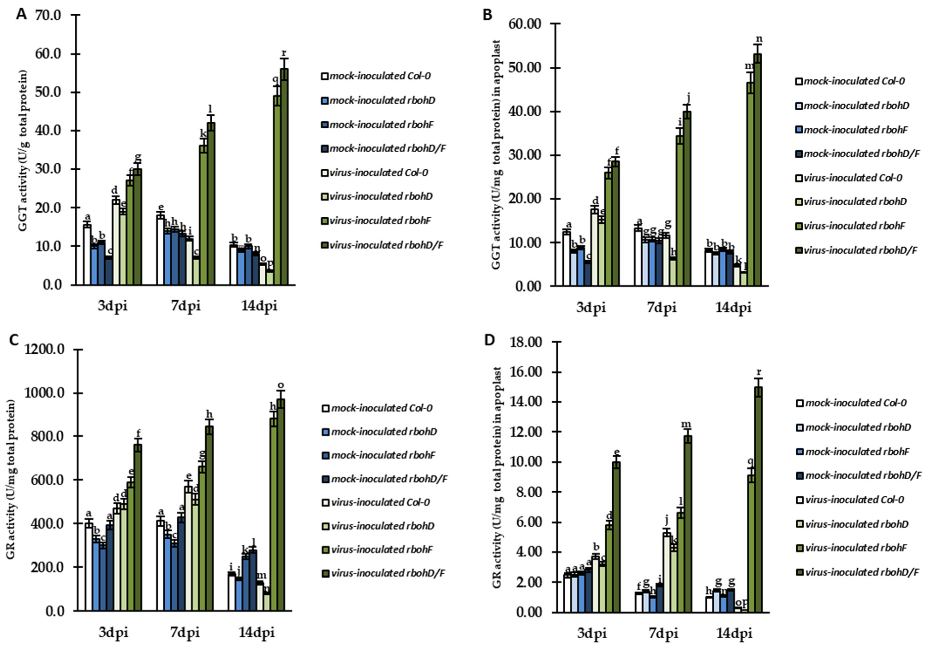 Ijms 24 07128 g009 Ijms 24 07128 g009