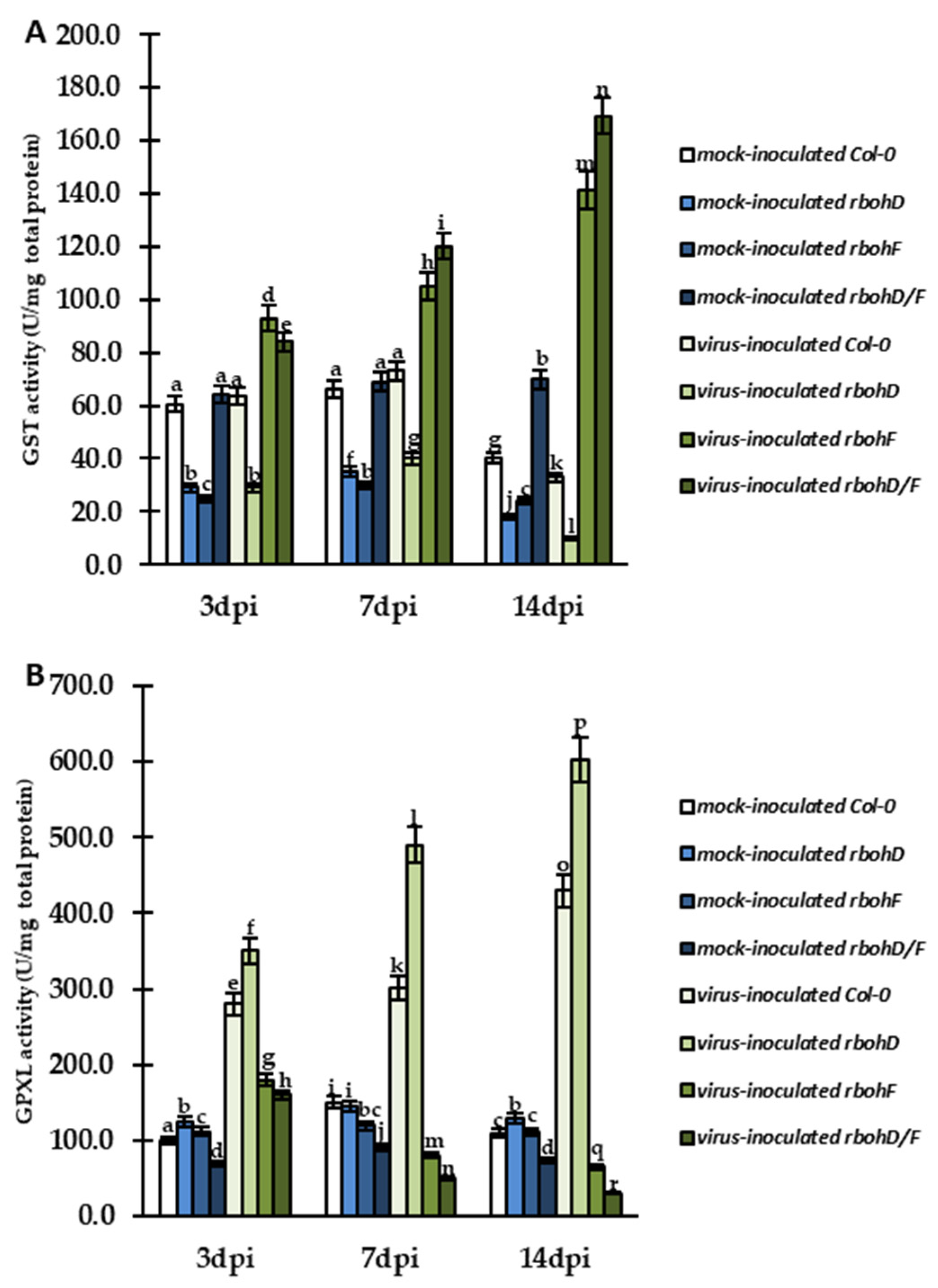 Ijms 24 07128 g010 Ijms 24 07128 g010