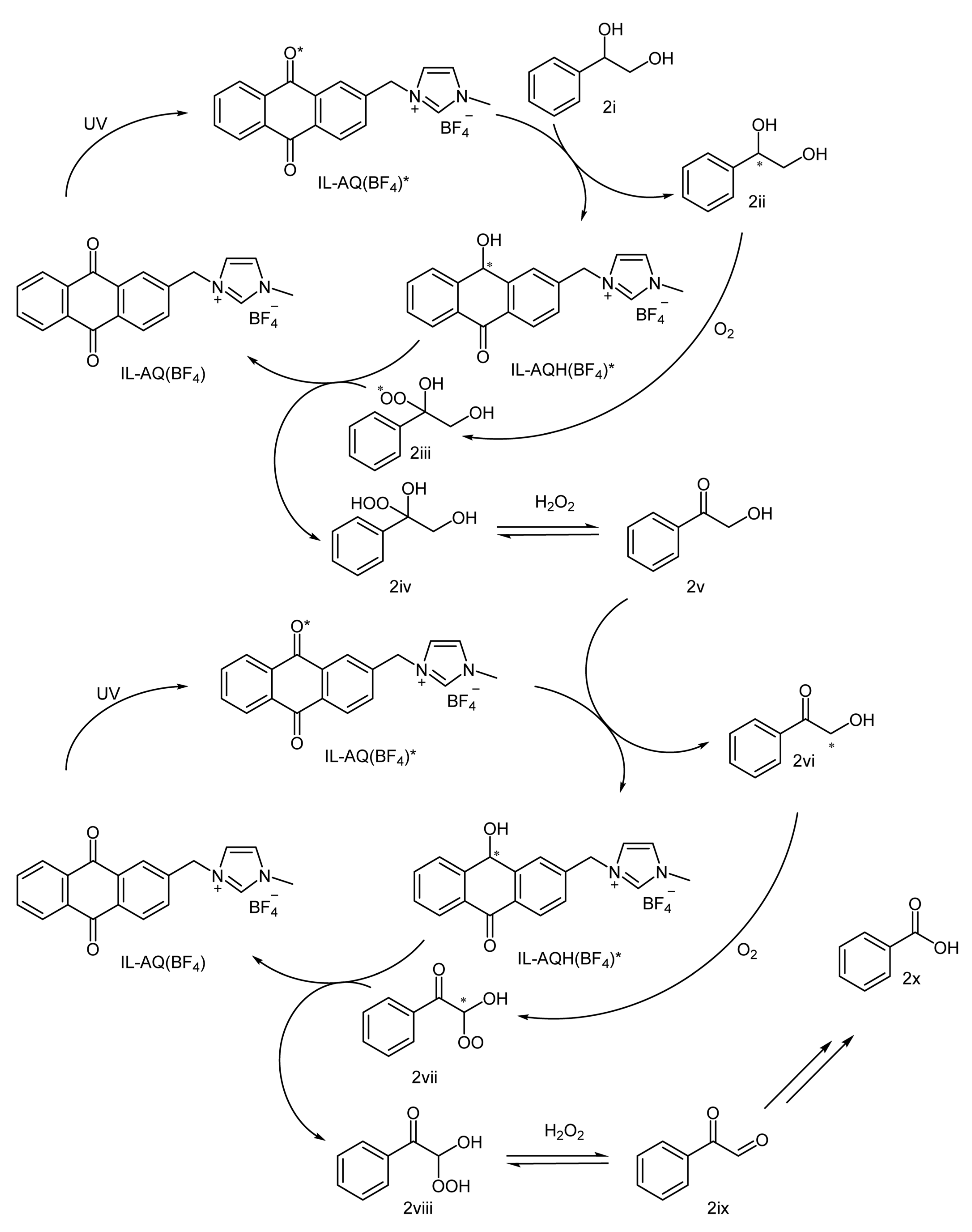 Ijms 24 07141 sch002 Ijms 24 07141 sch002