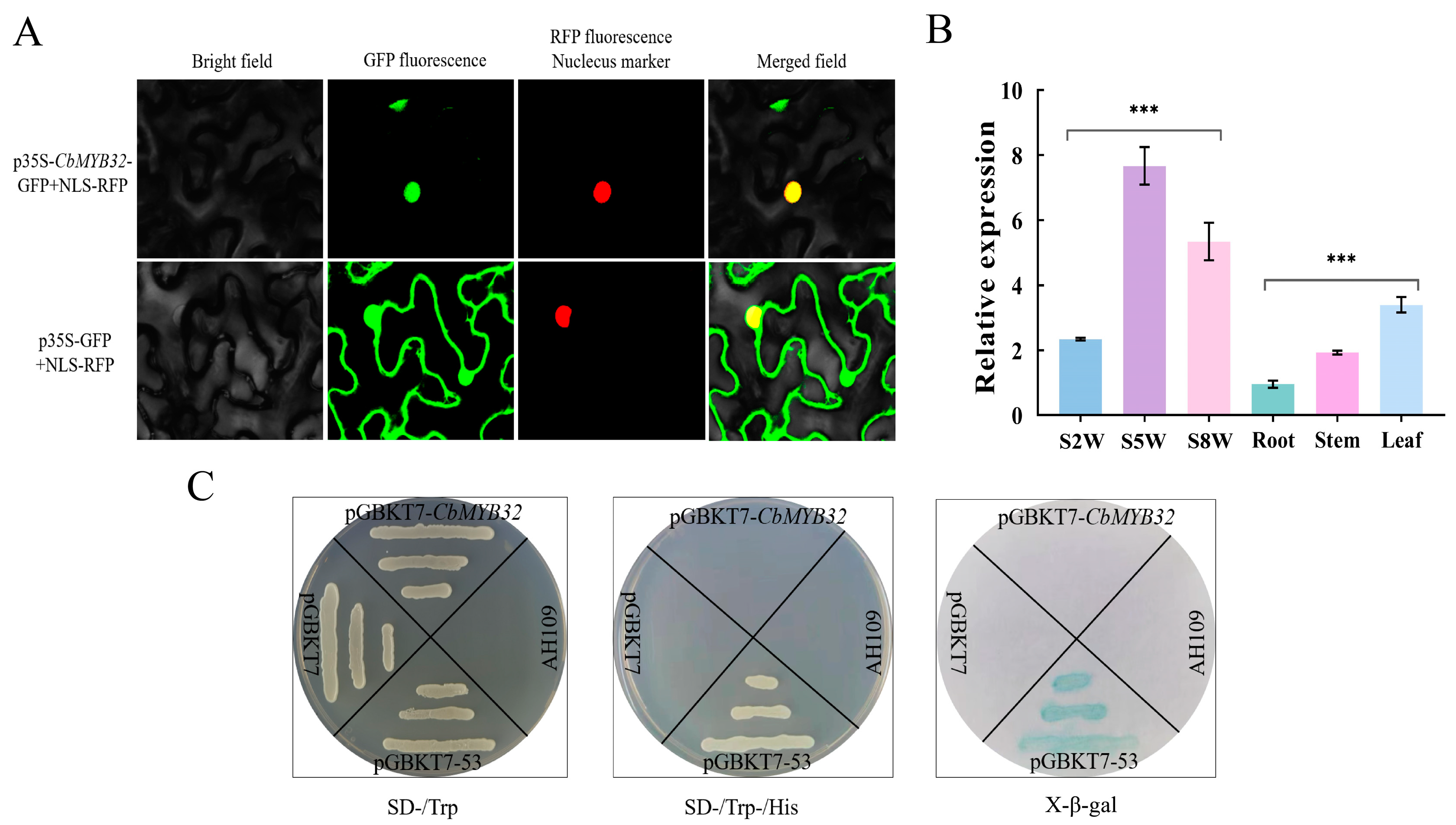 Ijms 24 07143 g004 Ijms 24 07143 g004