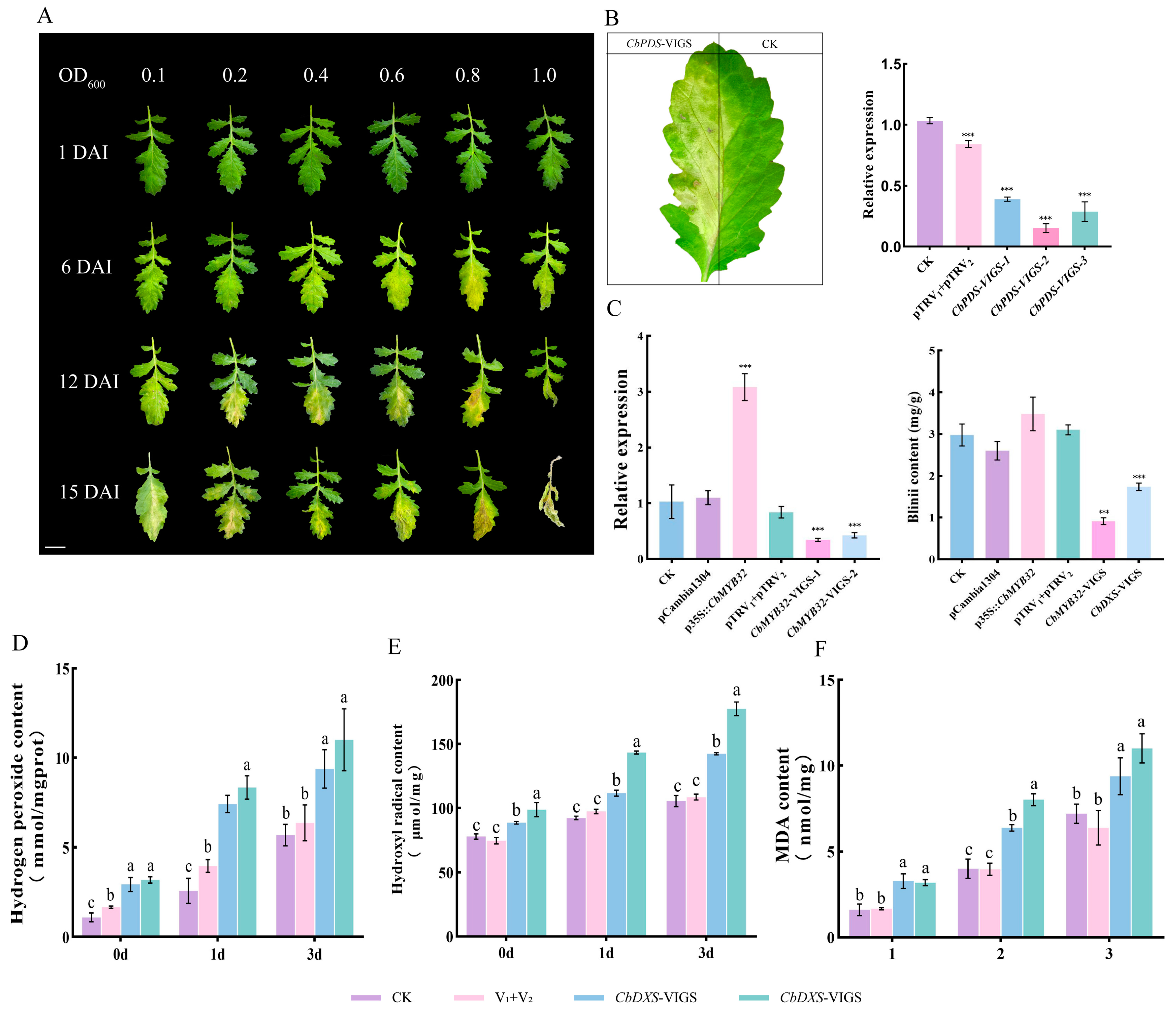 Ijms 24 07143 g005 Ijms 24 07143 g005