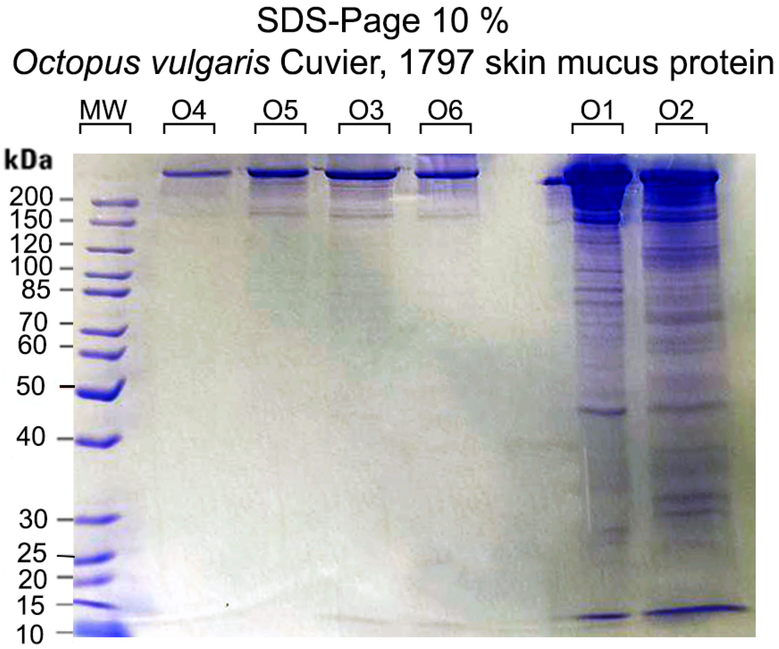 https://www.mdpi.com/ijms/ijms-24-07145/article_deploy/html/images/ijms-24-07145-g001.png