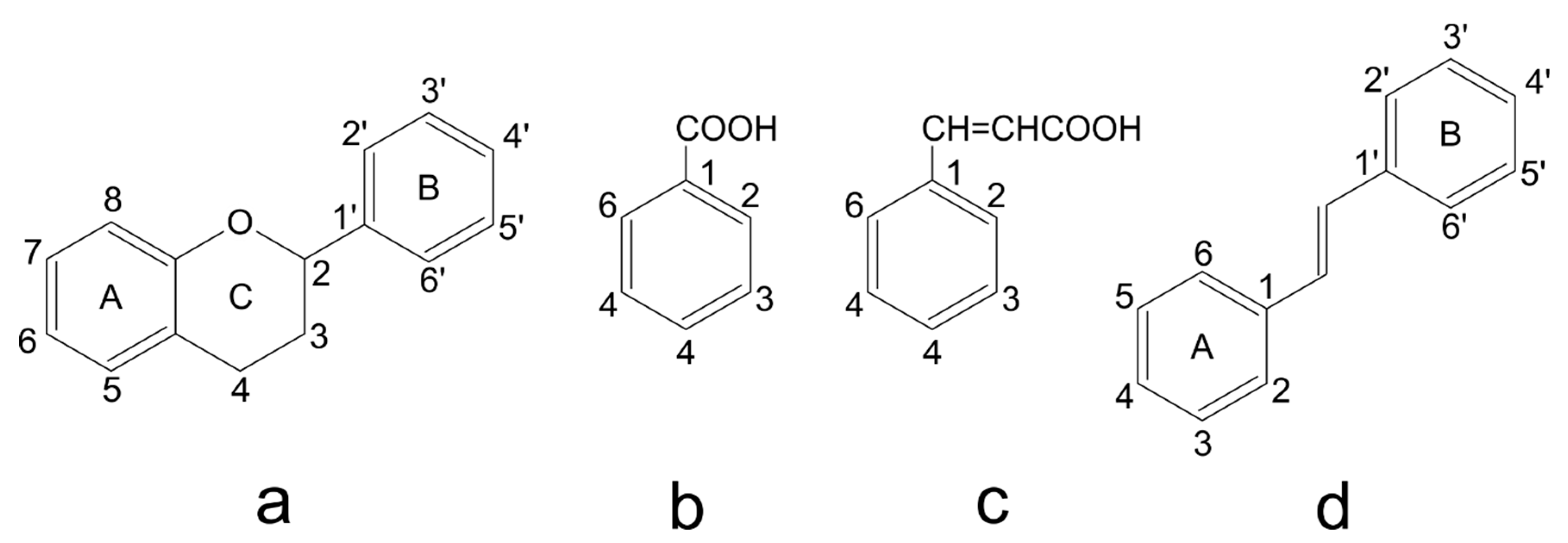 Ijms 24 07146 g003 Ijms 24 07146 g003