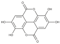 Ijms 24 07146 i009 Ijms 24 07146 i009
