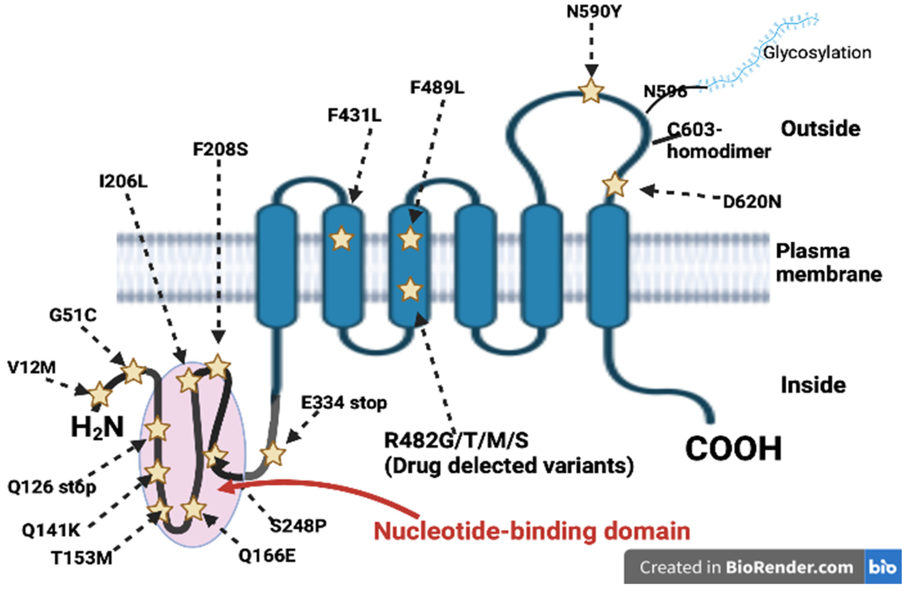 Ijms 24 07147 g002 Ijms 24 07147 g002