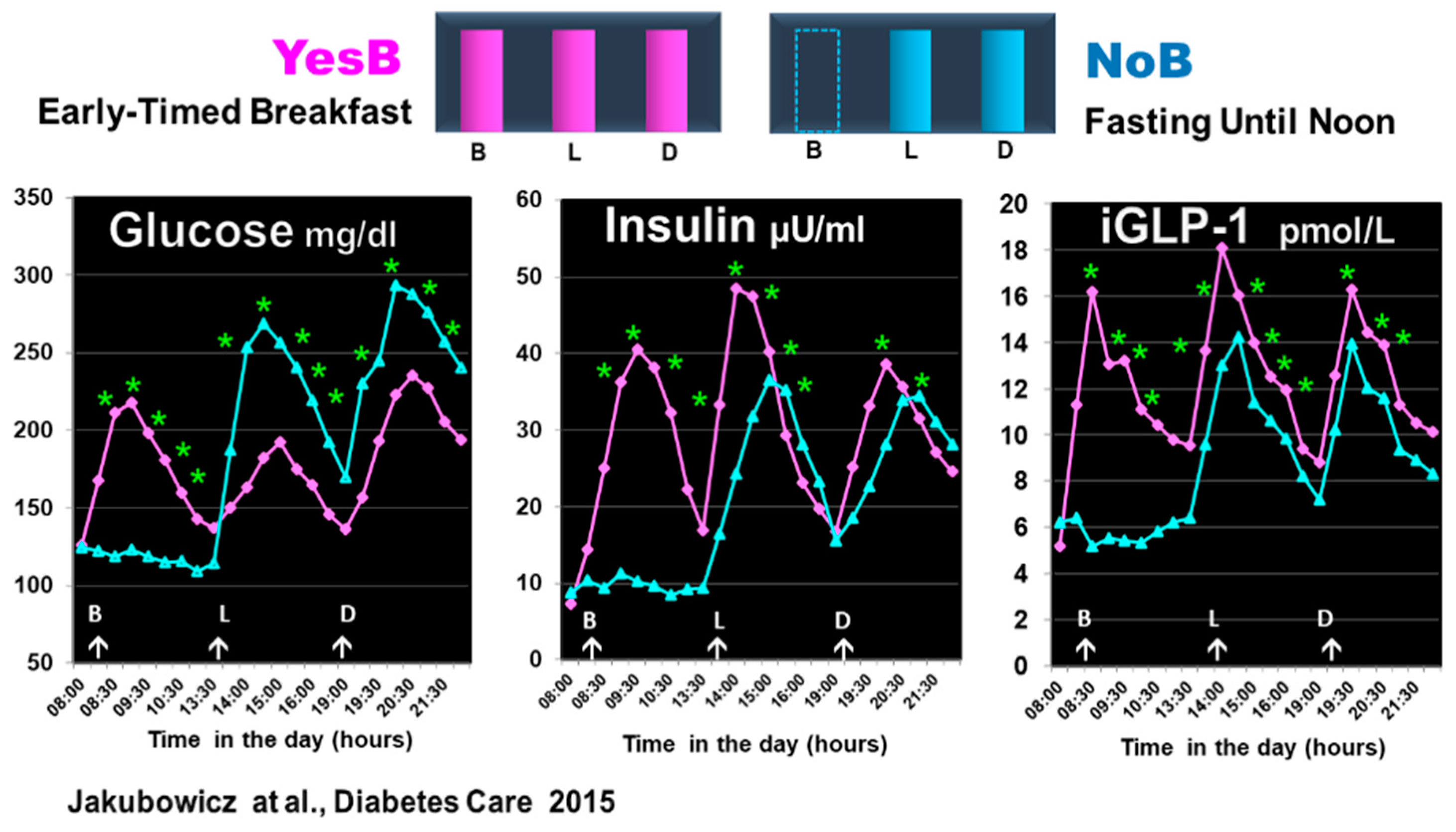 IJMS Free Full Text Influence of Fasting until Noon Extended