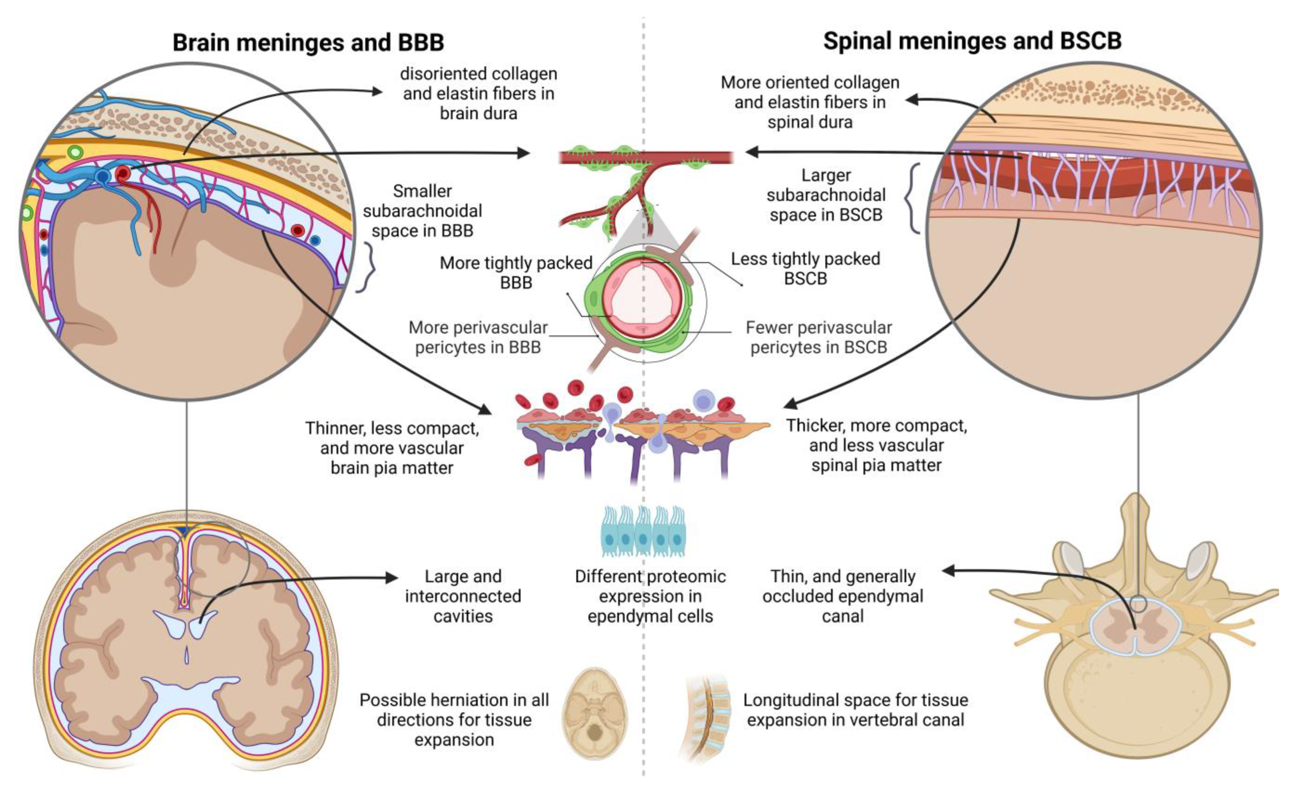Ijms 24 07159 g001 Ijms 24 07159 g001