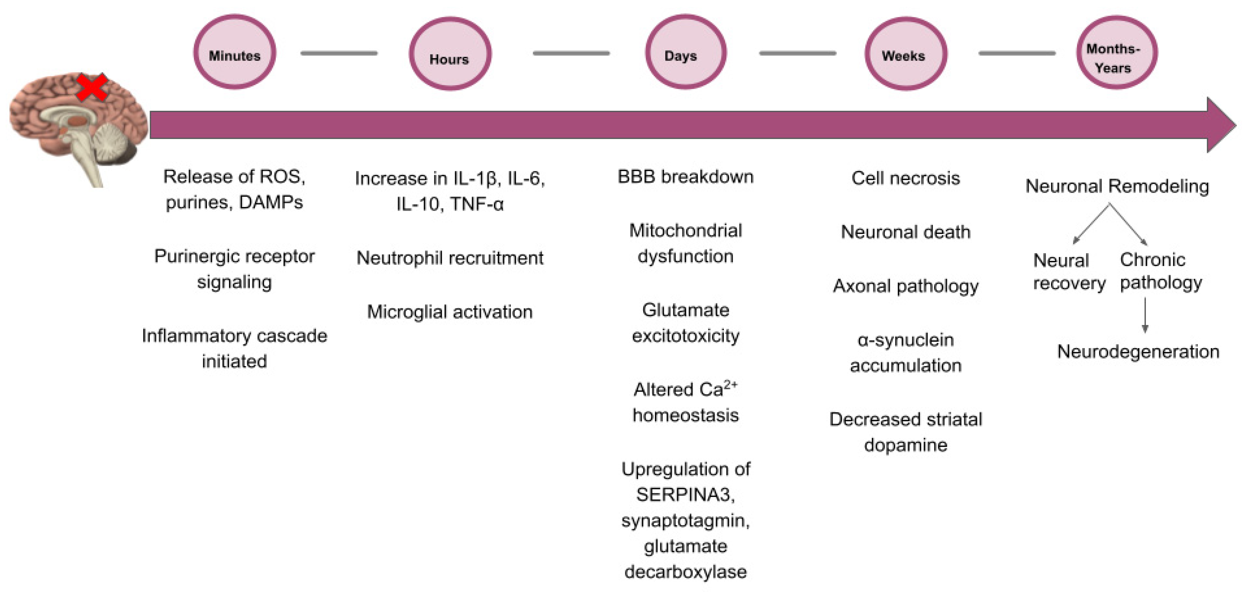 Ijms 24 07186 g001 Ijms 24 07186 g001
