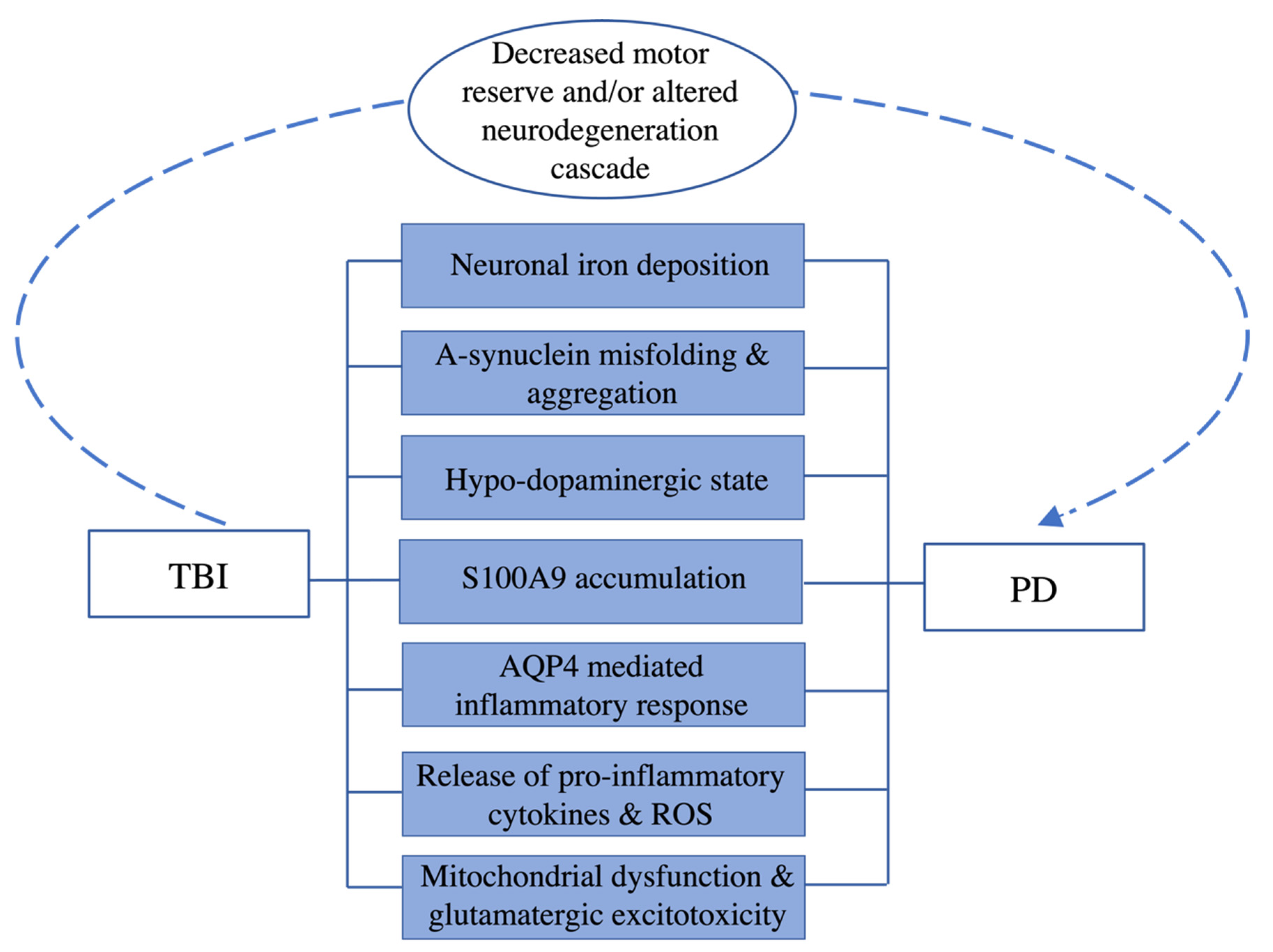 Ijms 24 07186 g002 Ijms 24 07186 g002